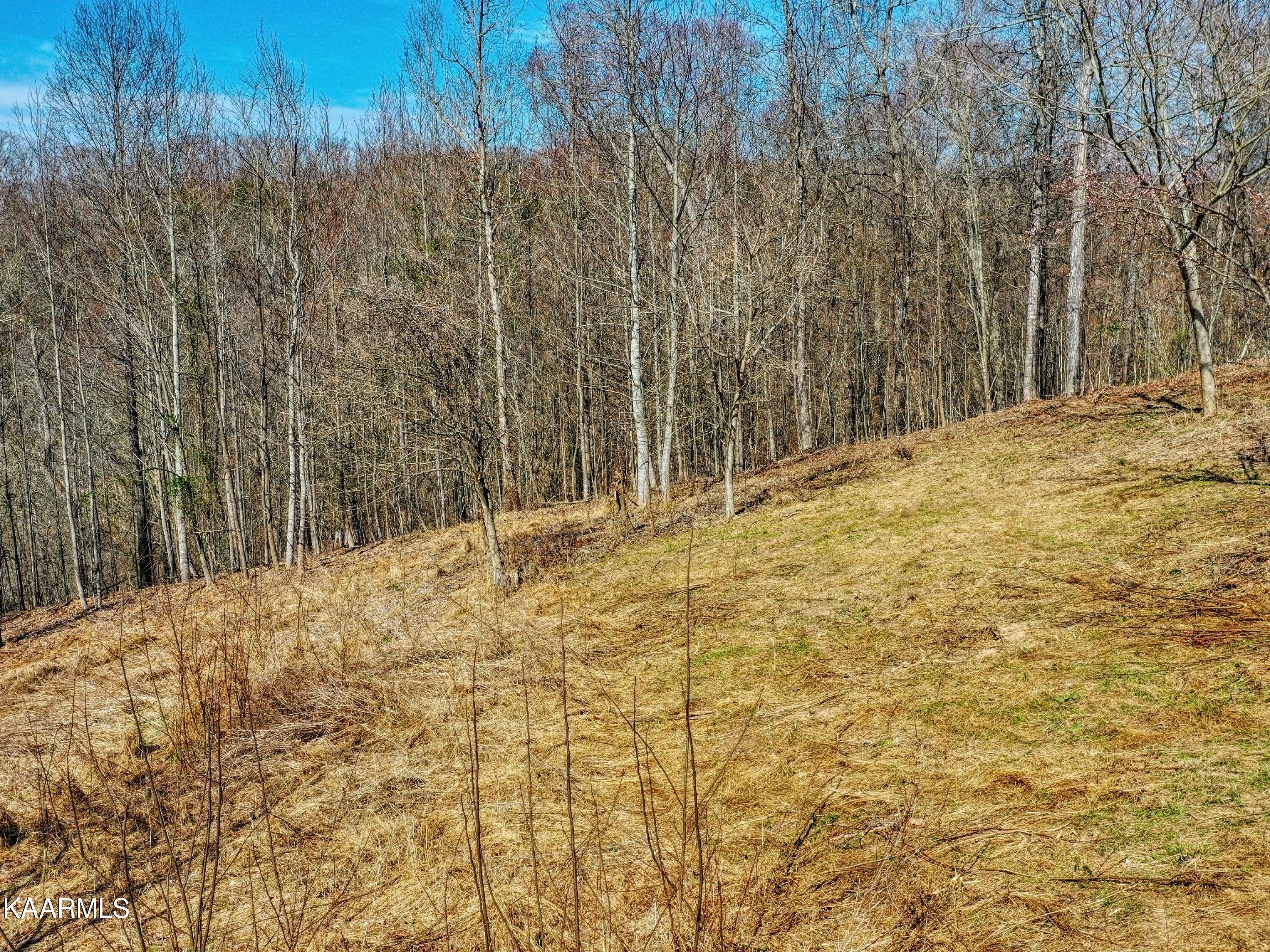 Baneberry, TN 37890,Lot 1B Virginia CT