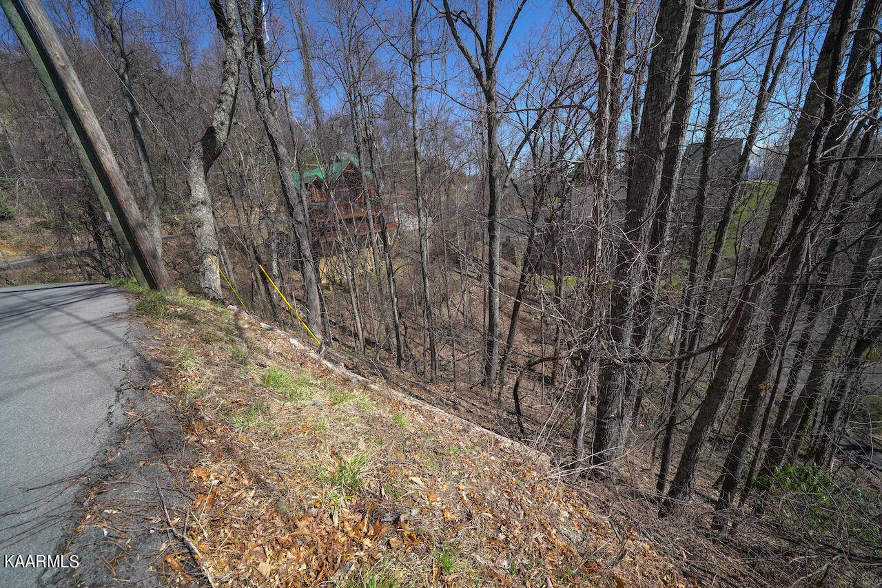 Gatlinburg, TN 37738,Lot 26 Upper Alpine WAY