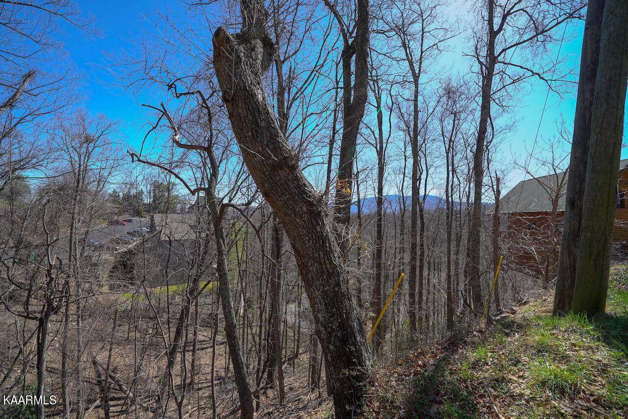 Gatlinburg, TN 37738,Lot 26 Upper Alpine WAY