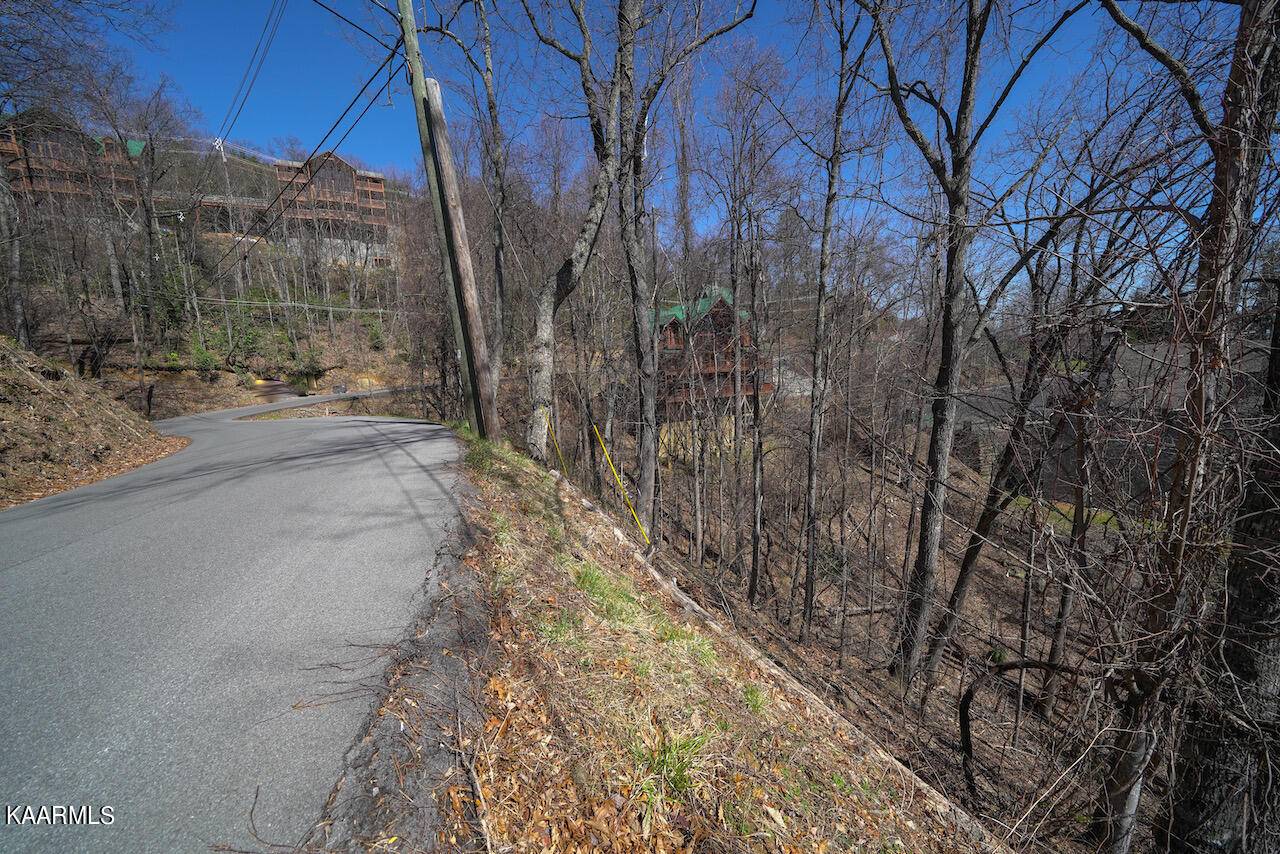 Gatlinburg, TN 37738,Lot 26 Upper Alpine WAY