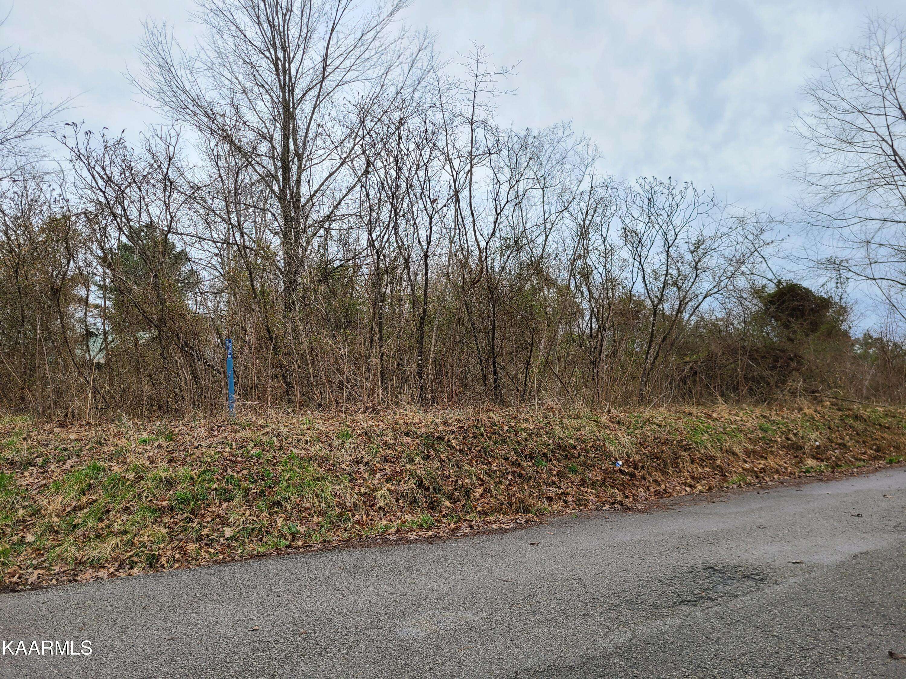 Jamestown, TN 38556,Lot 8 Hamilton Field Rd