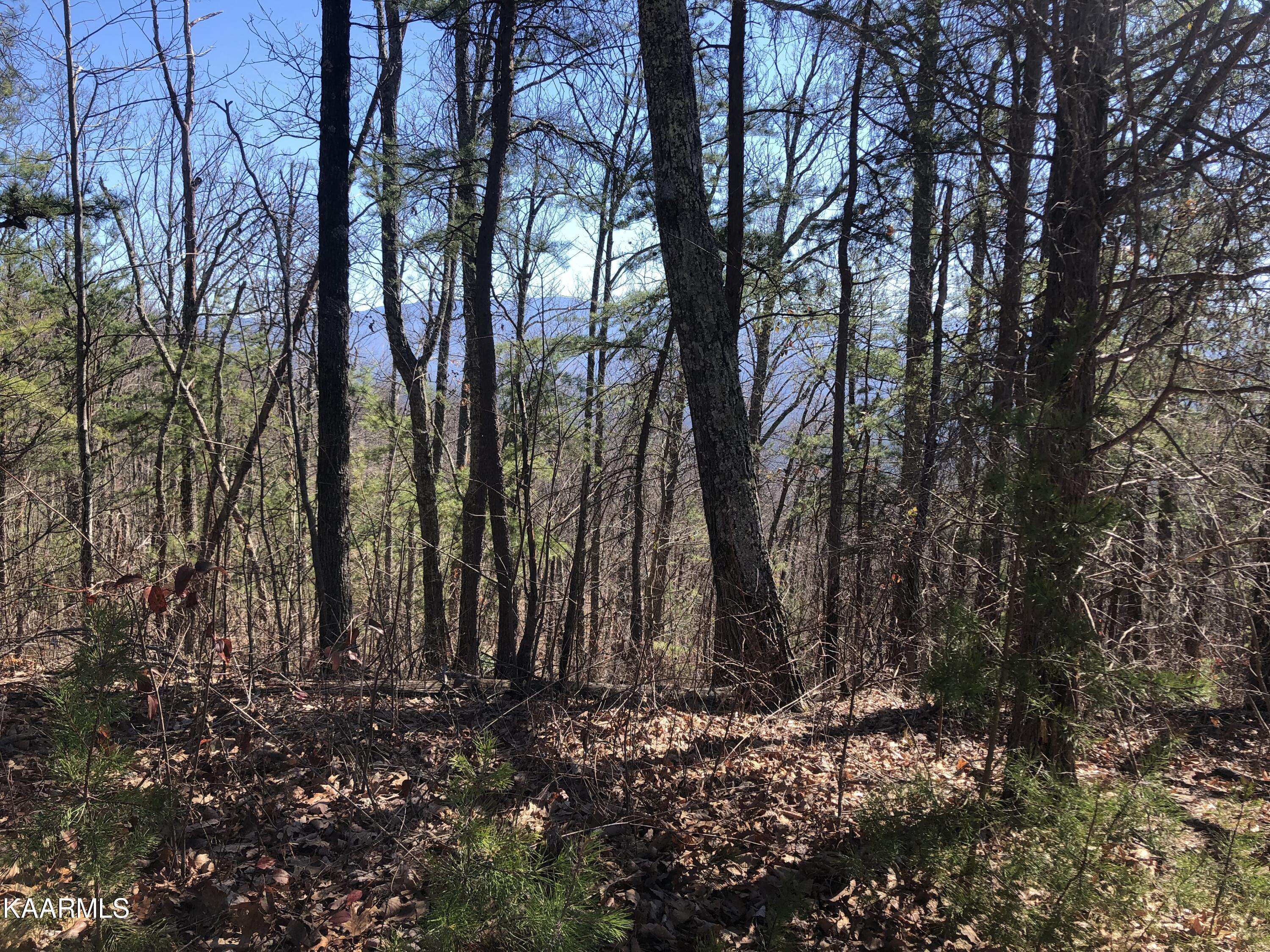 Sevierville, TN 37876,Lot 2 Chestnut Ridge CT