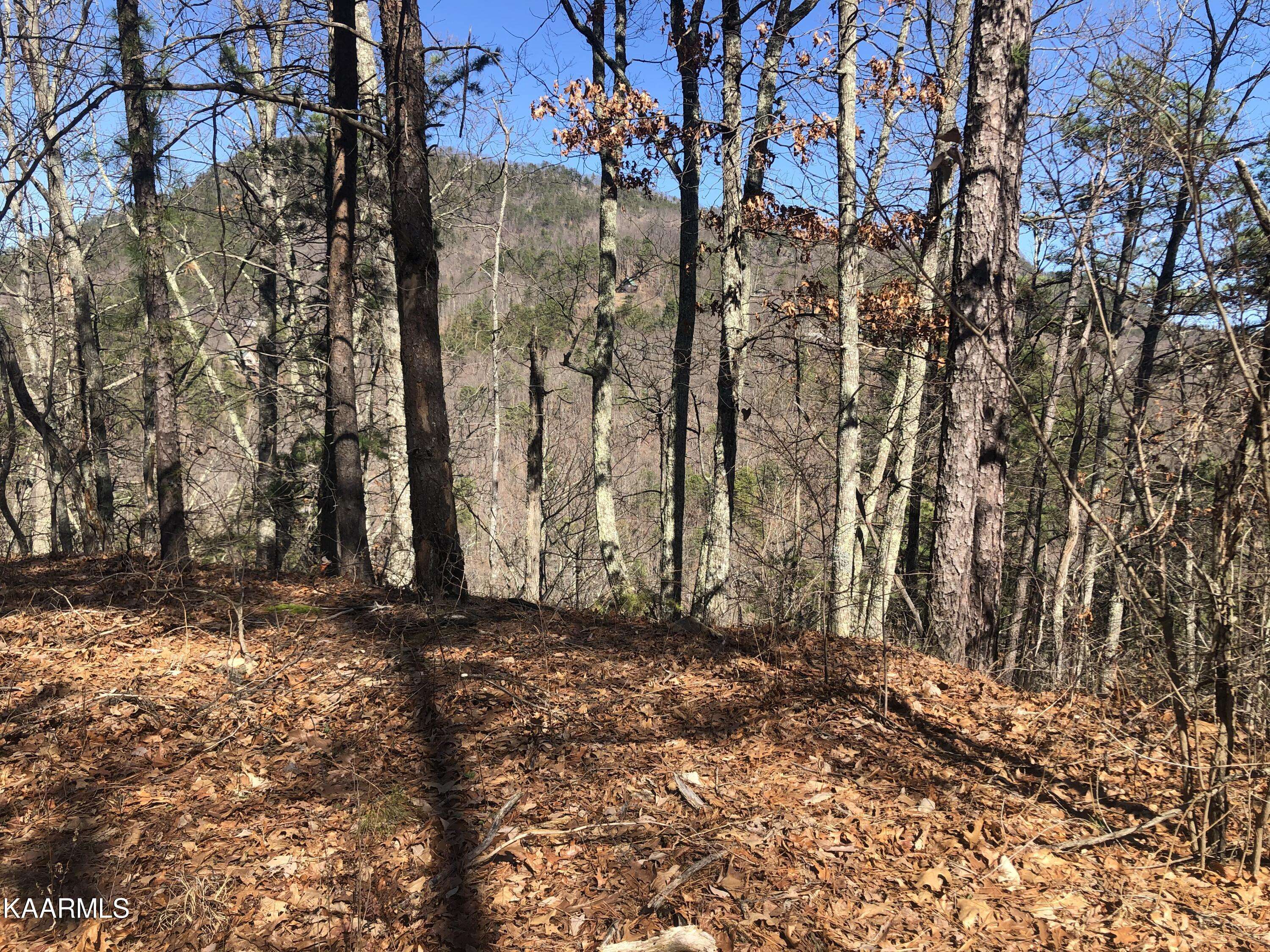 Sevierville, TN 37876,Lot 5 Chestnut Ridge CT