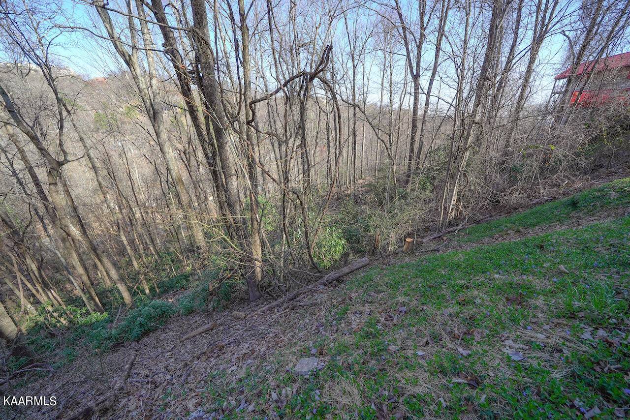 Gatlinburg, TN 37738,Lot 24/25 N Baden DR