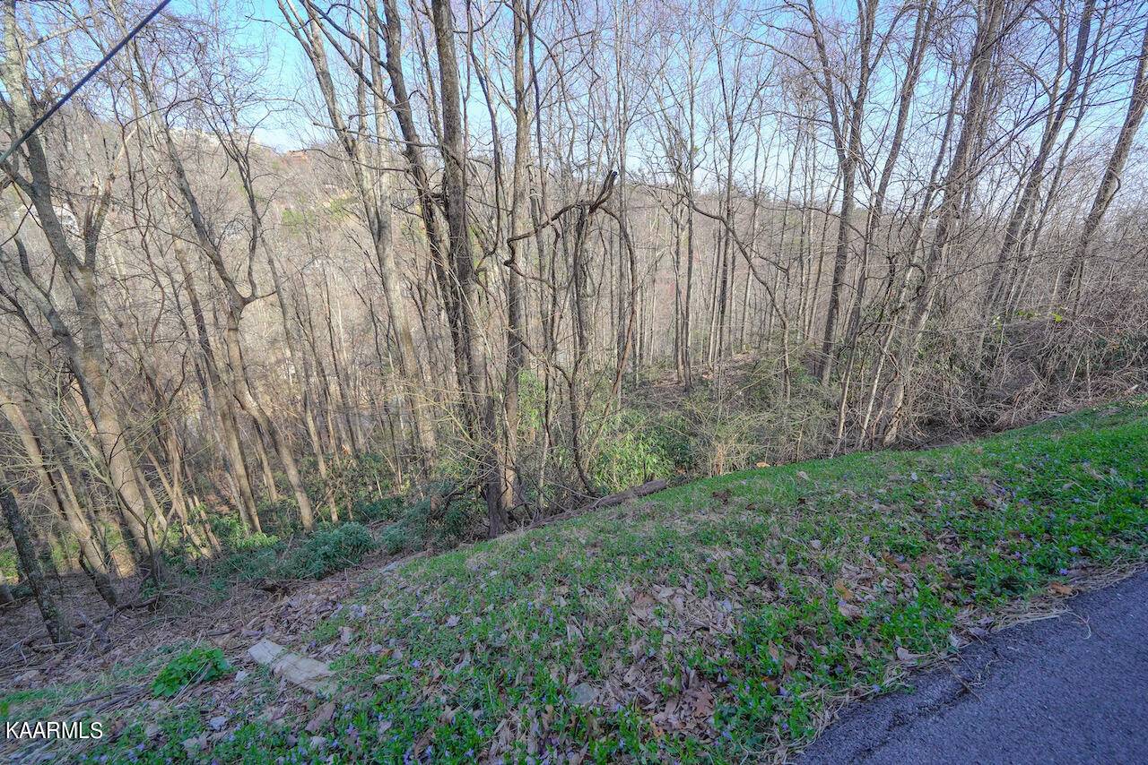 Gatlinburg, TN 37738,Lot 24/25 N Baden DR