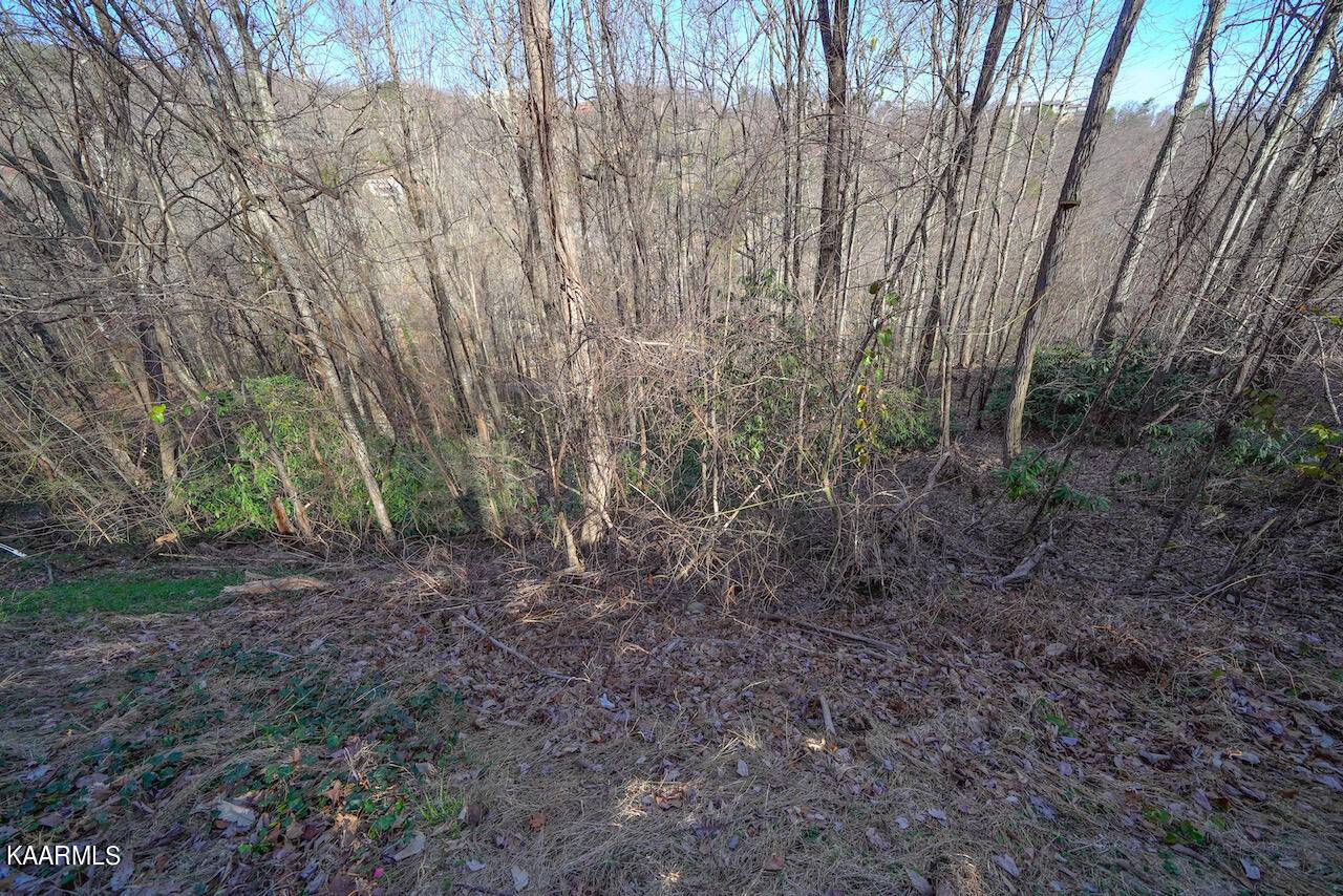 Gatlinburg, TN 37738,Lot 24/25 N Baden DR