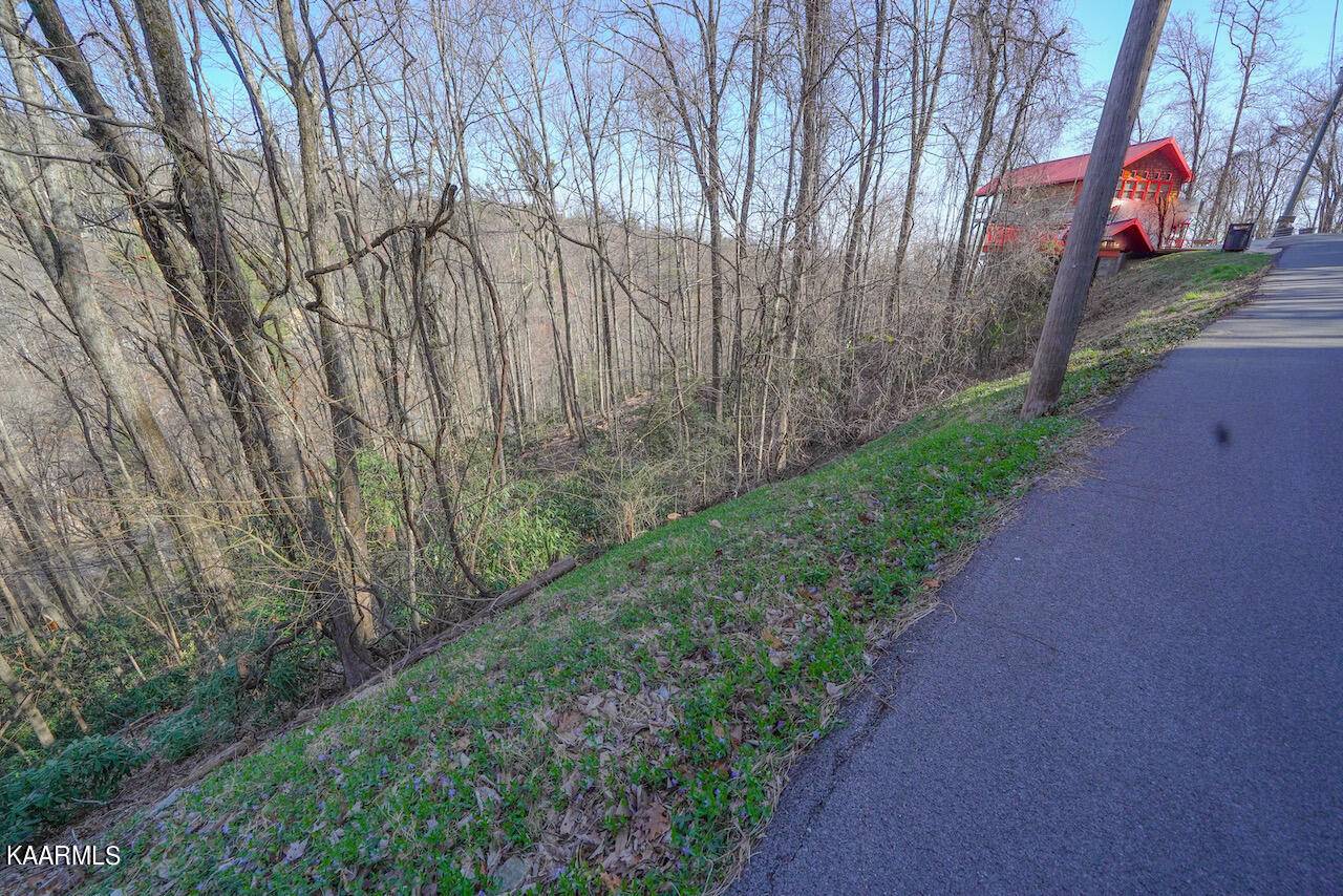 Gatlinburg, TN 37738,Lot 24/25 N Baden DR