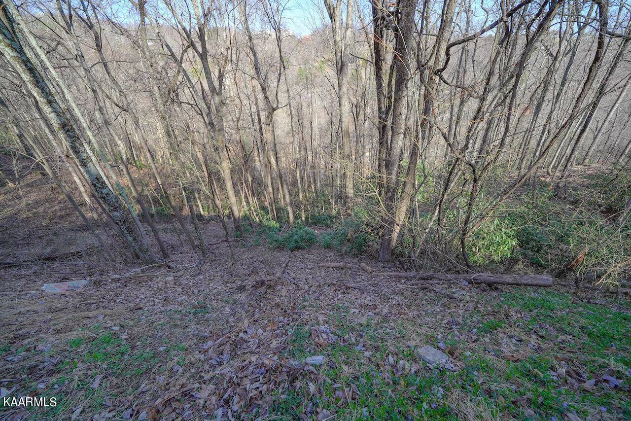 Gatlinburg, TN 37738,Lot 24/25 N Baden DR