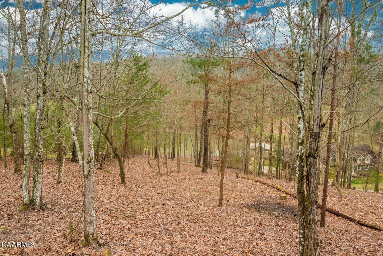 Ten Mile, TN 37880,112 Delaware PT