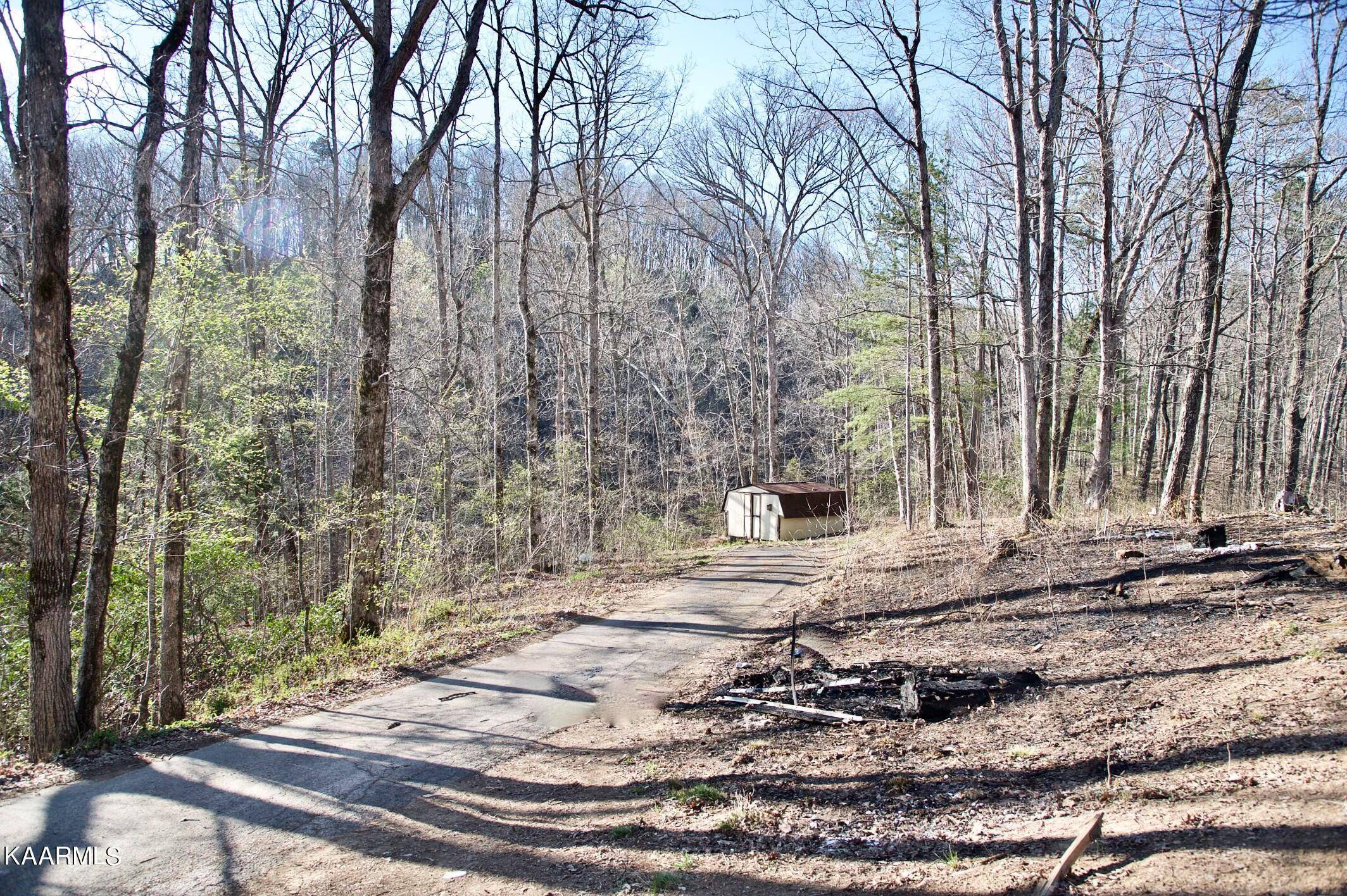 Clinton, TN 37716,260 Talley LN