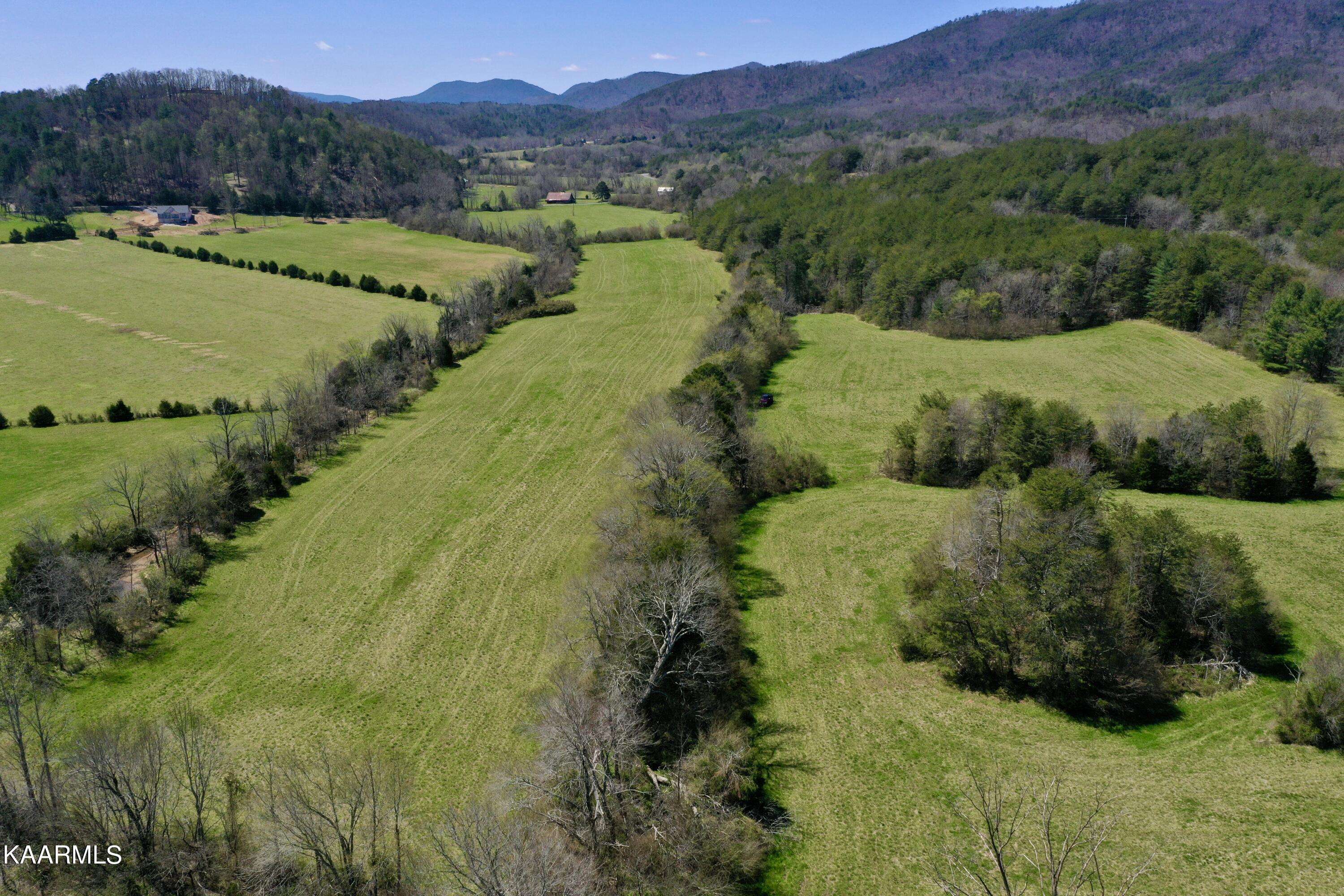 Tellico Plains, TN 37385,Dry Creek Rd