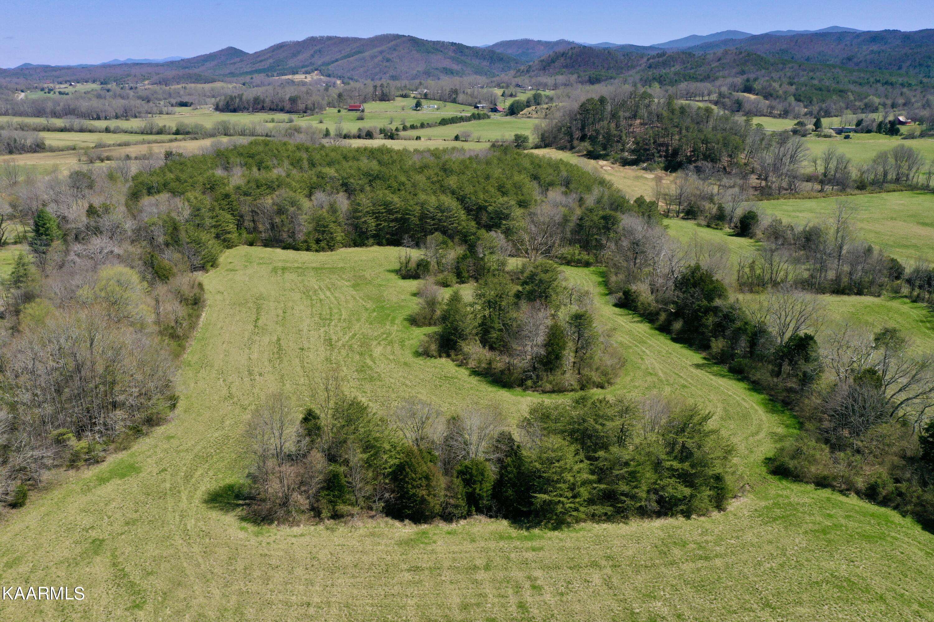 Tellico Plains, TN 37385,Dry Creek Rd