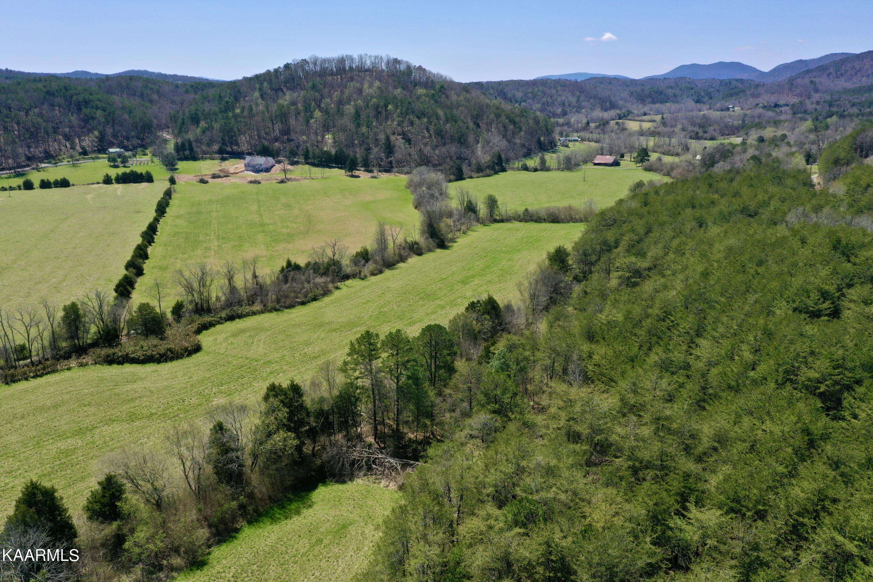 Tellico Plains, TN 37385,Dry Creek Rd