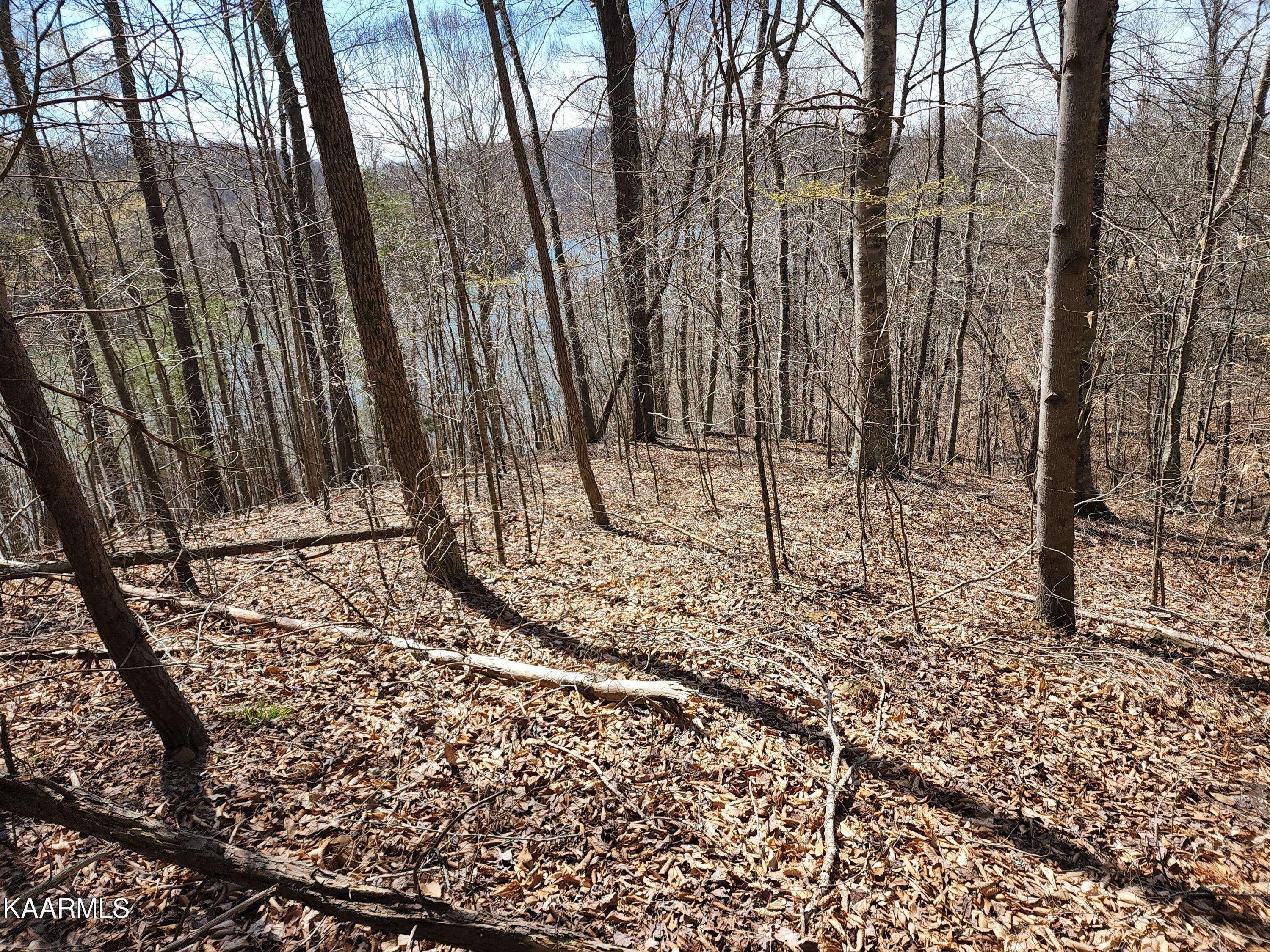 New Tazewell, TN 37825,Lot 58 Mountain Shores Rd