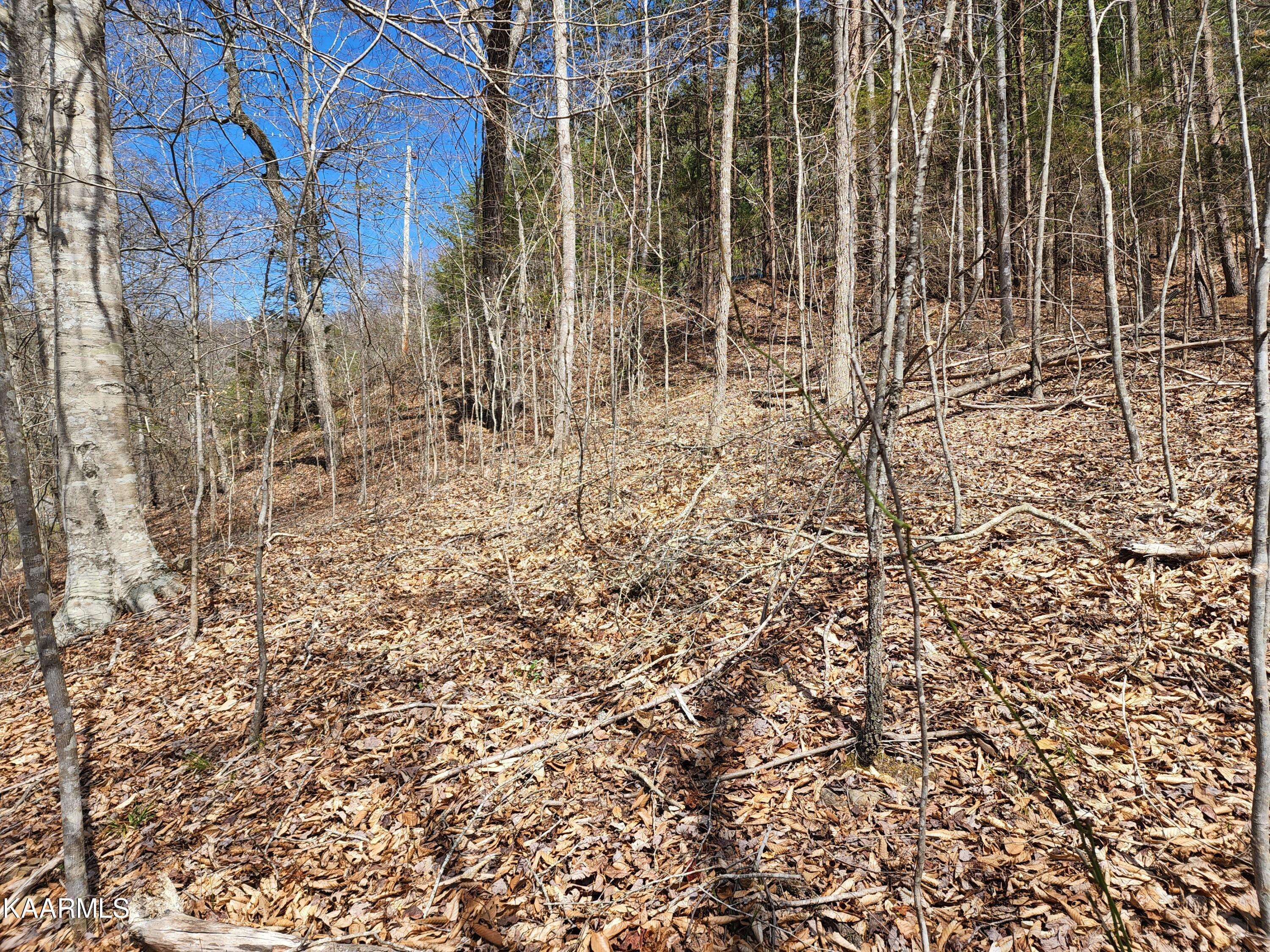 New Tazewell, TN 37825,Lot 58 Mountain Shores Rd