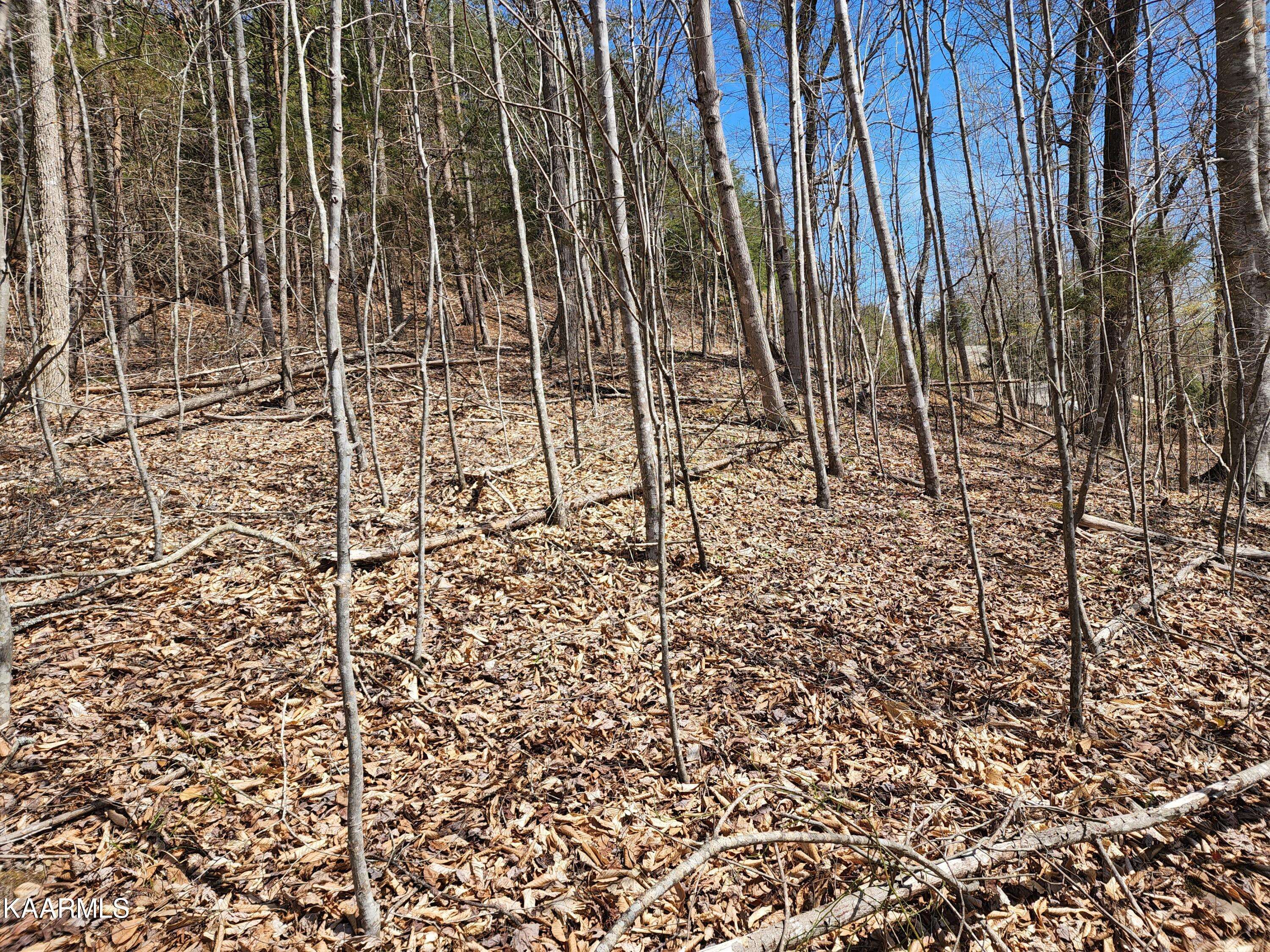 New Tazewell, TN 37825,Lot 58 Mountain Shores Rd