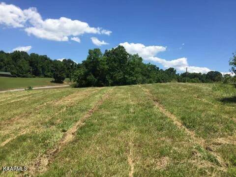 Strawberry Plains, TN 37871,Lot 2 Blue Springs Rd