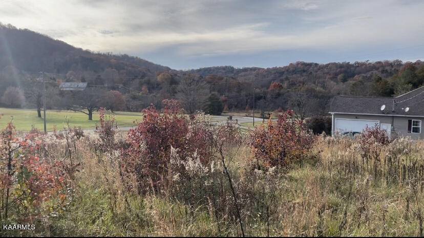 Strawberry Plains, TN 37871,Lot 2 Blue Springs Rd