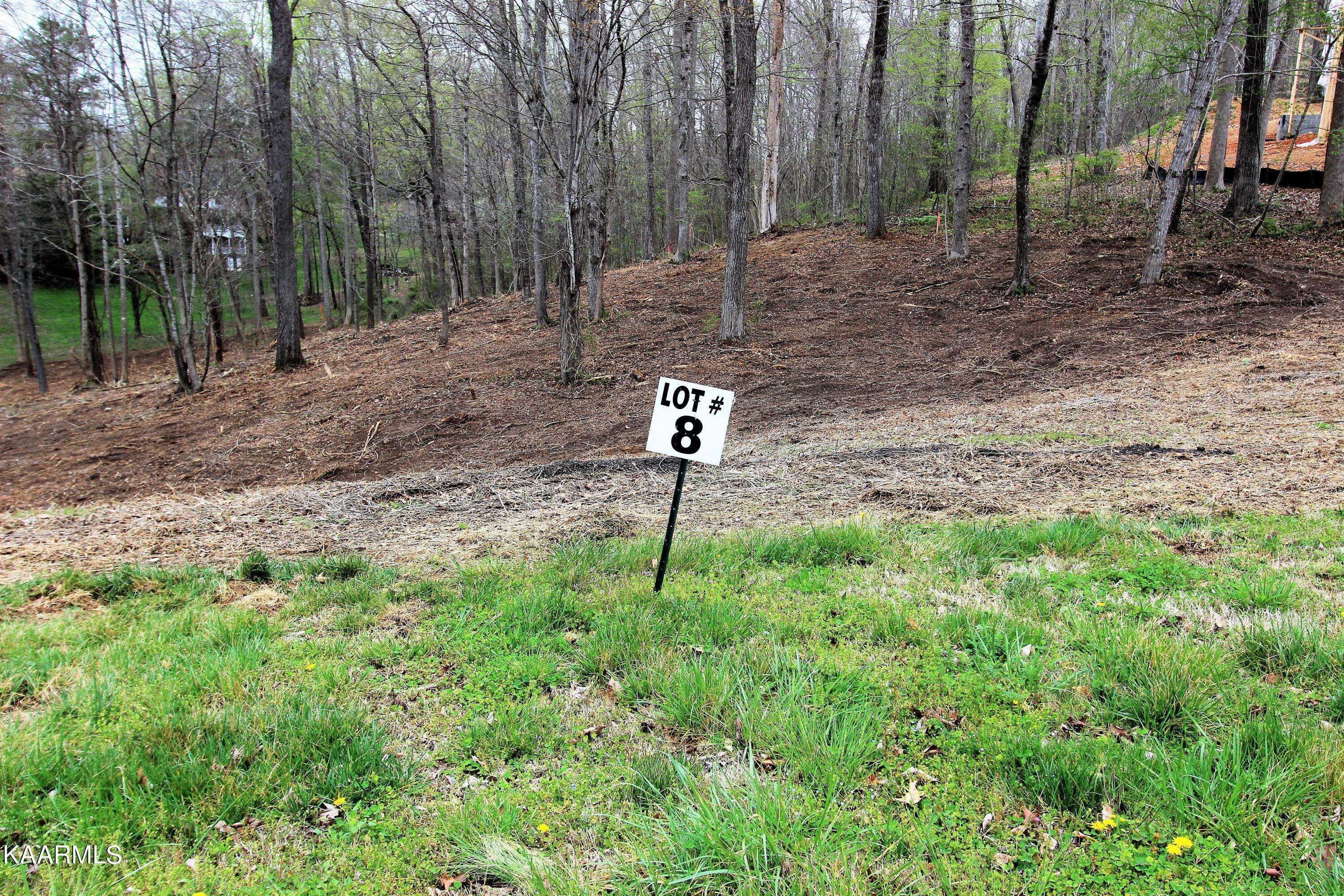 Clinton, TN 37716,Lot 8 St James LN