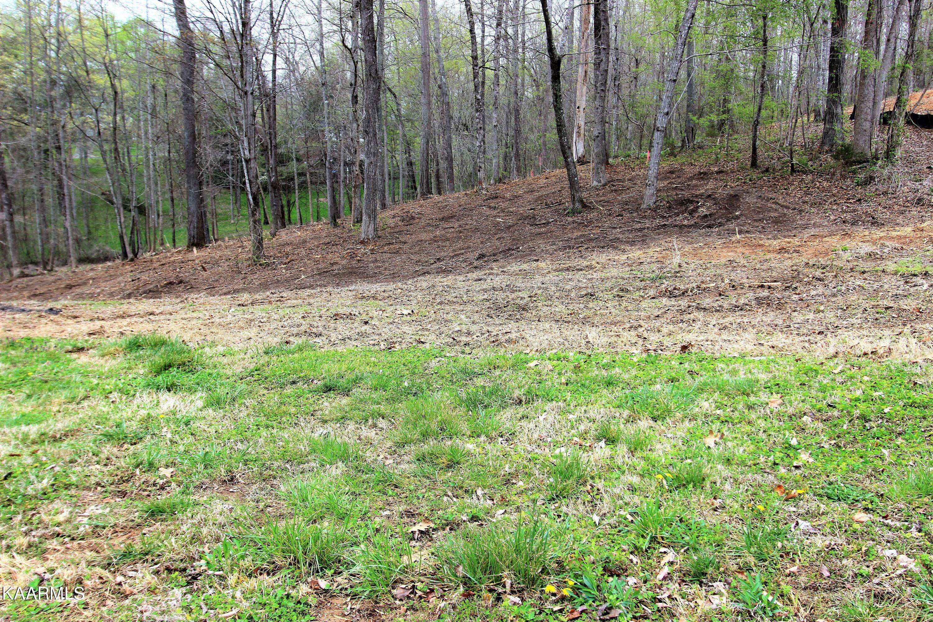 Clinton, TN 37716,Lot 8 St James LN