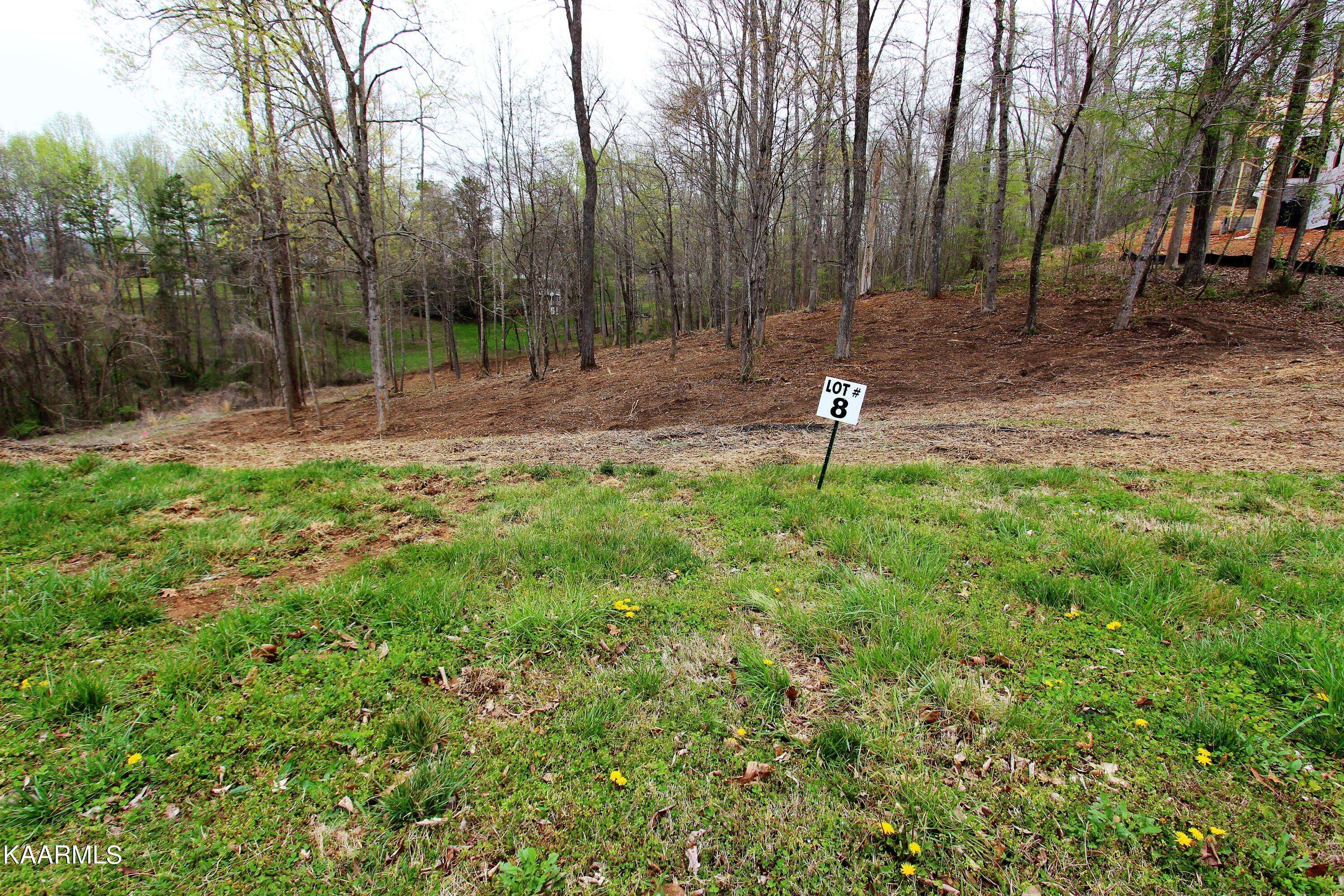 Clinton, TN 37716,Lot 8 St James LN