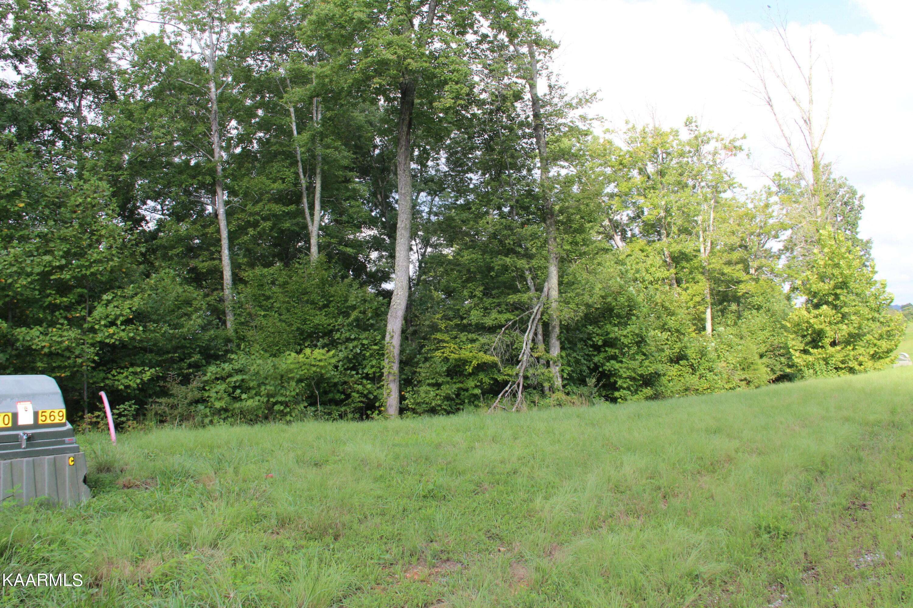 Lafollette, TN 37766,Lot 46 Old Hearth