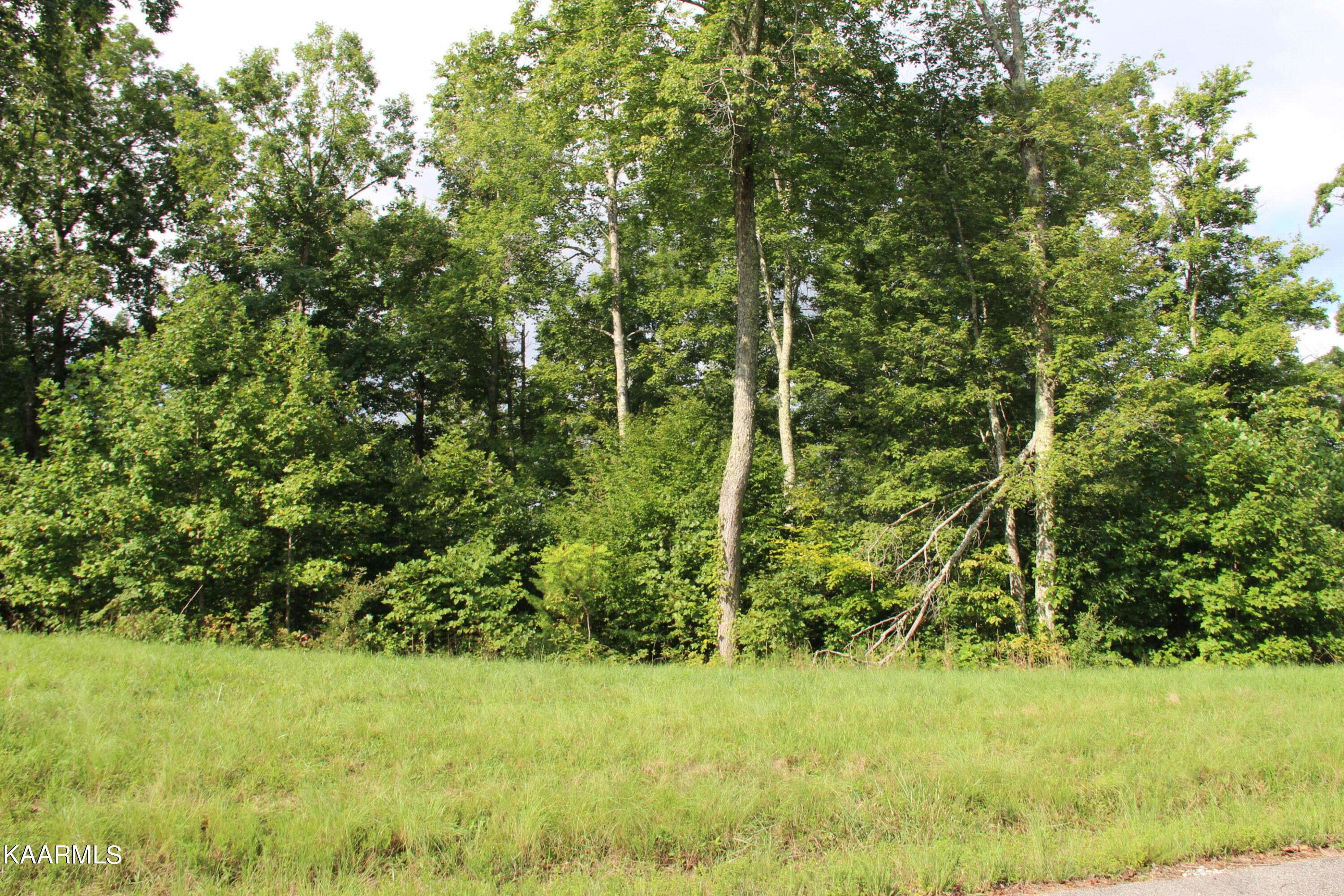 Lafollette, TN 37766,Lot 46 Old Hearth