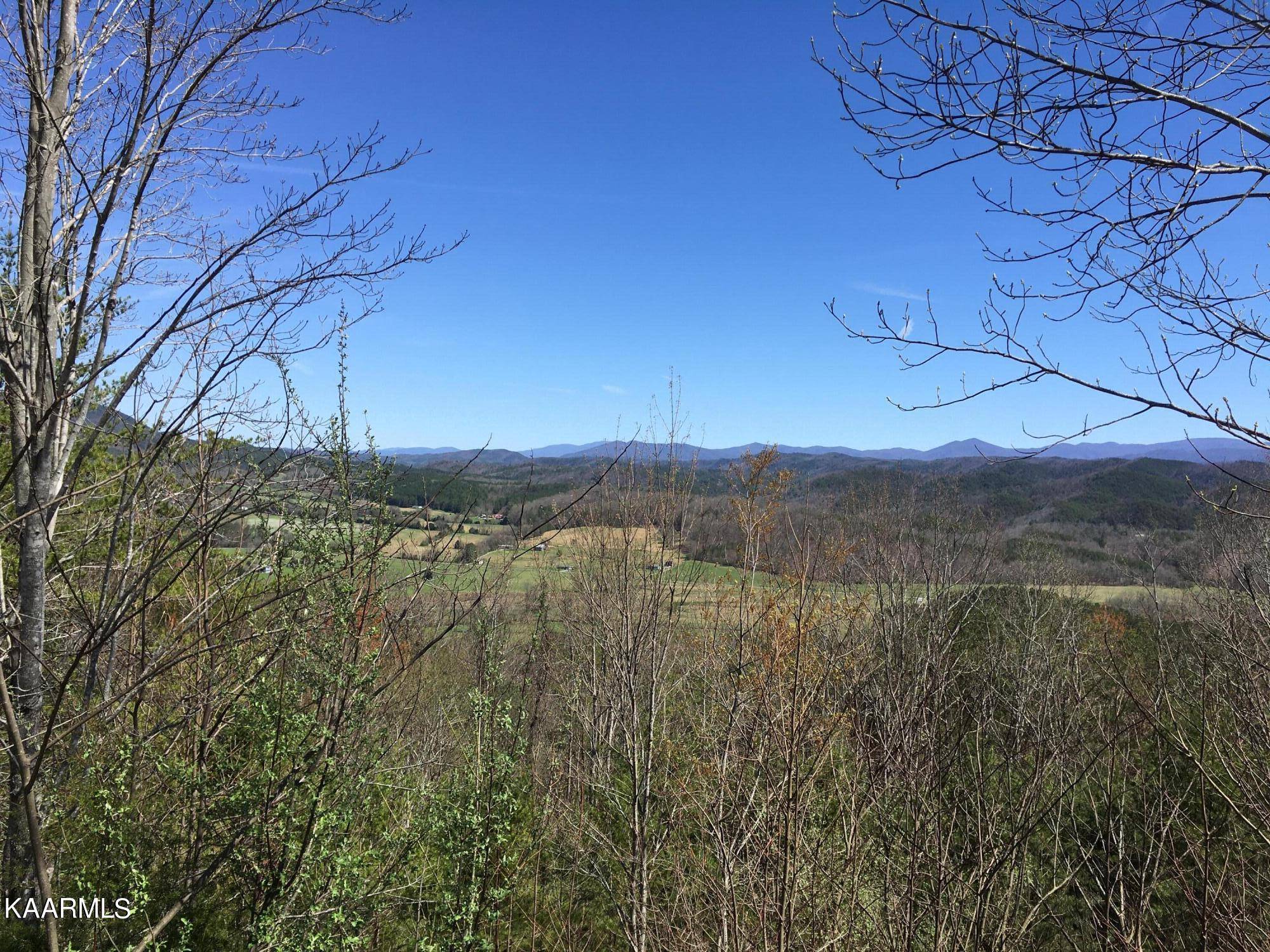 Tellico Plains, TN 37385,000 Highlands Bluff Rd