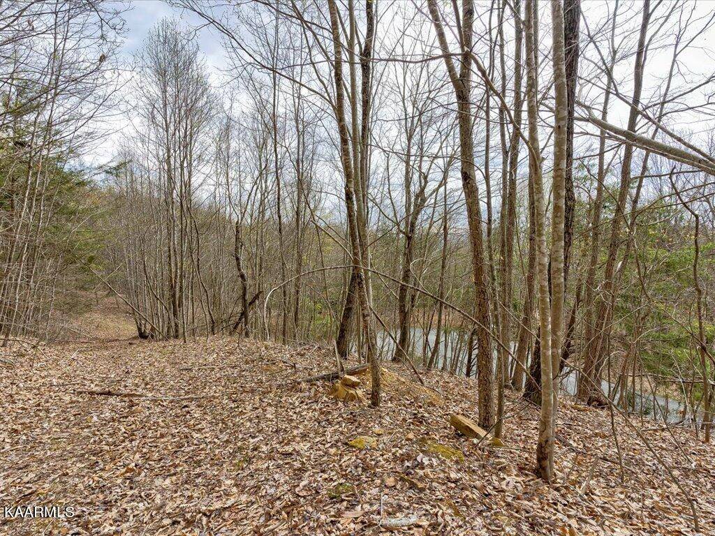 New Tazewell, TN 37825,Lot 248 Red Creek Hollow