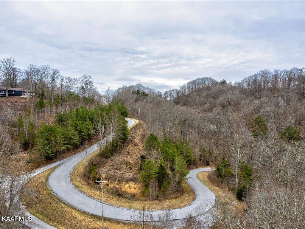 New Tazewell, TN 37825,Lot 389 Mountain Shores Rd