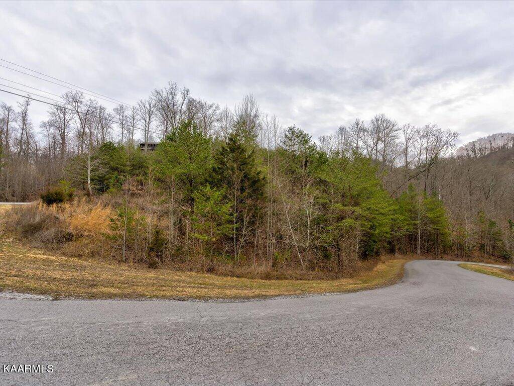 New Tazewell, TN 37825,Lot 389 Mountain Shores Rd