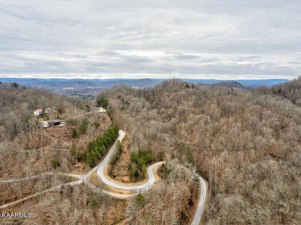 New Tazewell, TN 37825,Lot 389 Mountain Shores Rd