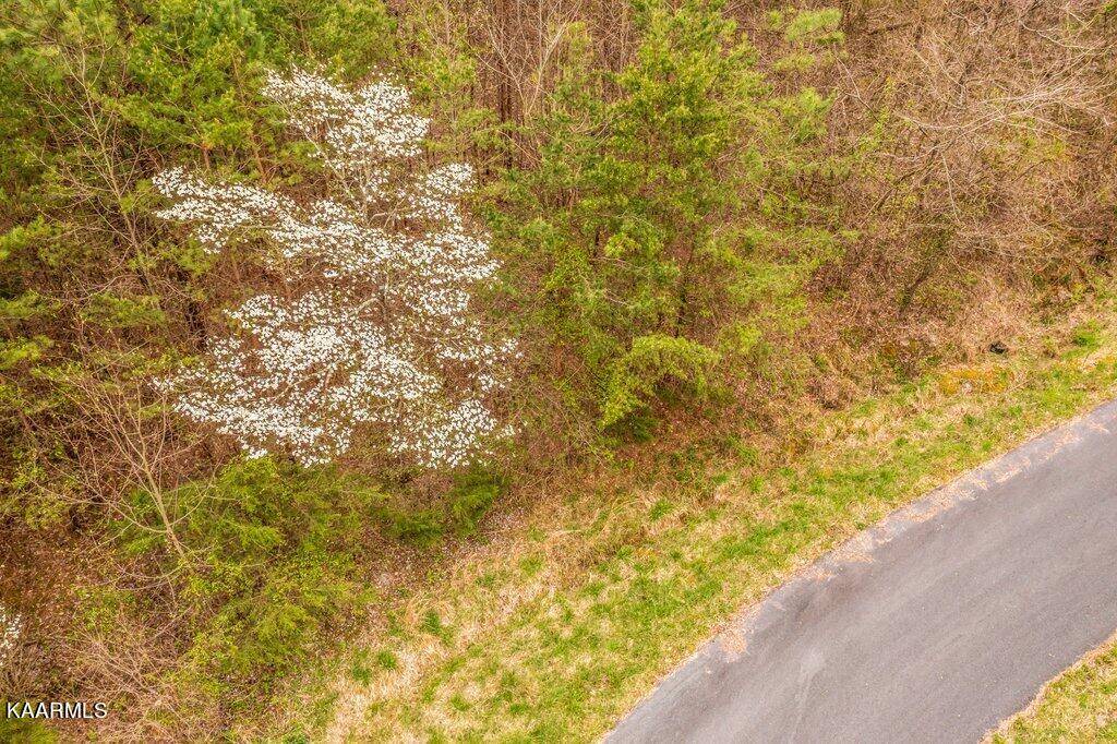 Parrottsville, TN 37843,West DR