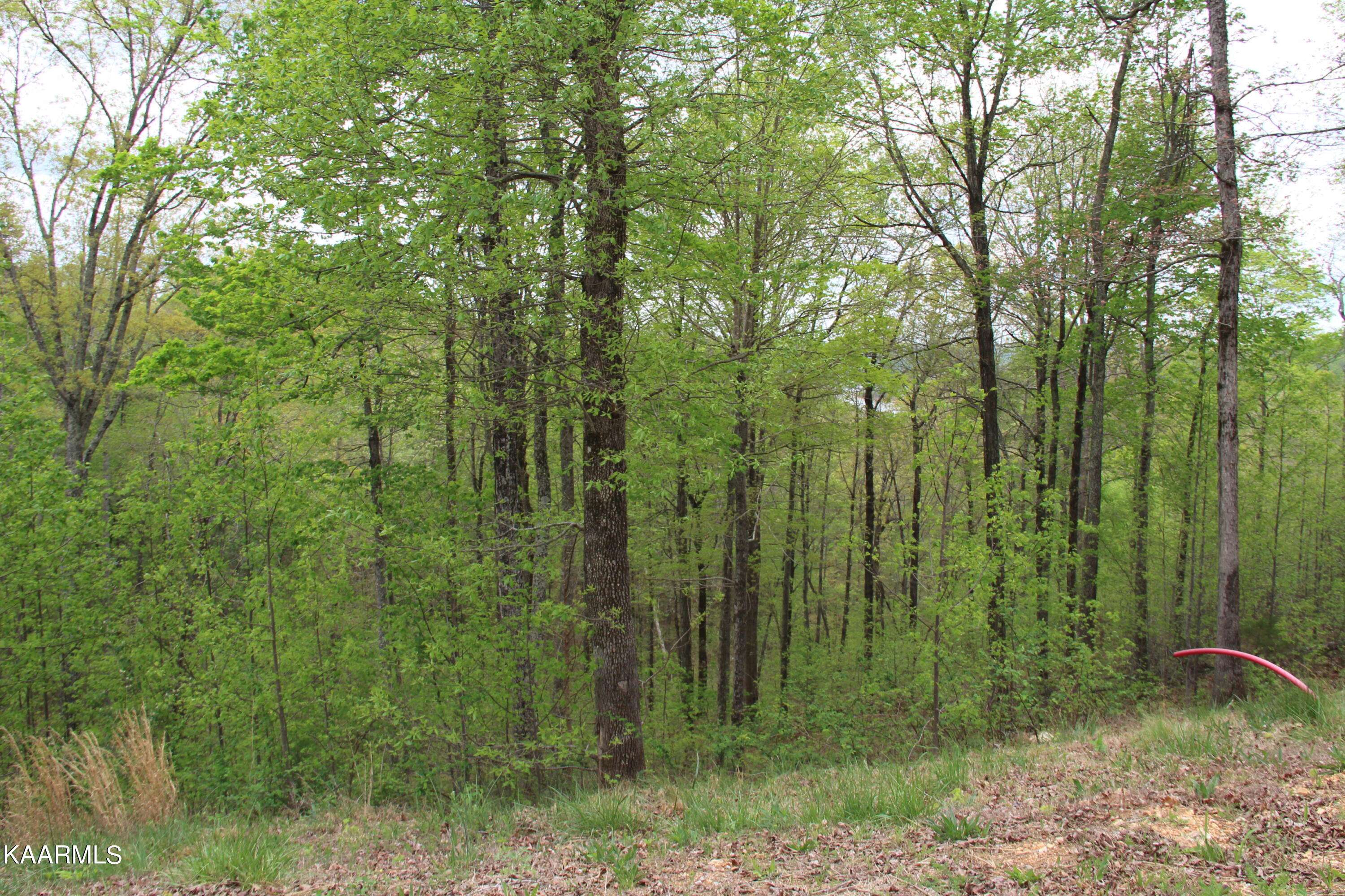 Lafollette, TN 37766,Lot 559 Summer CIR