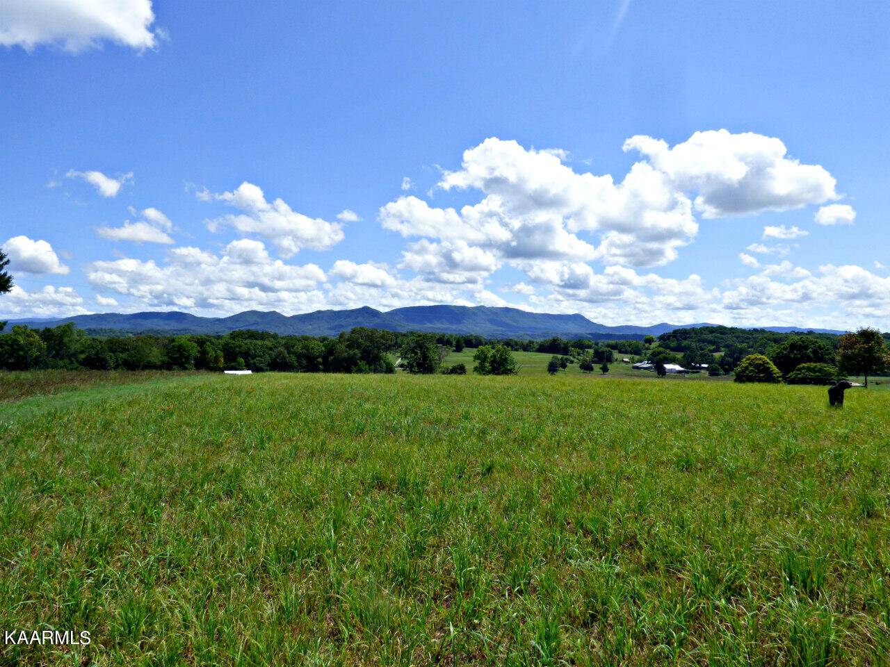 Dandridge, TN 37725,Lot 9 Swannsylvania Rd