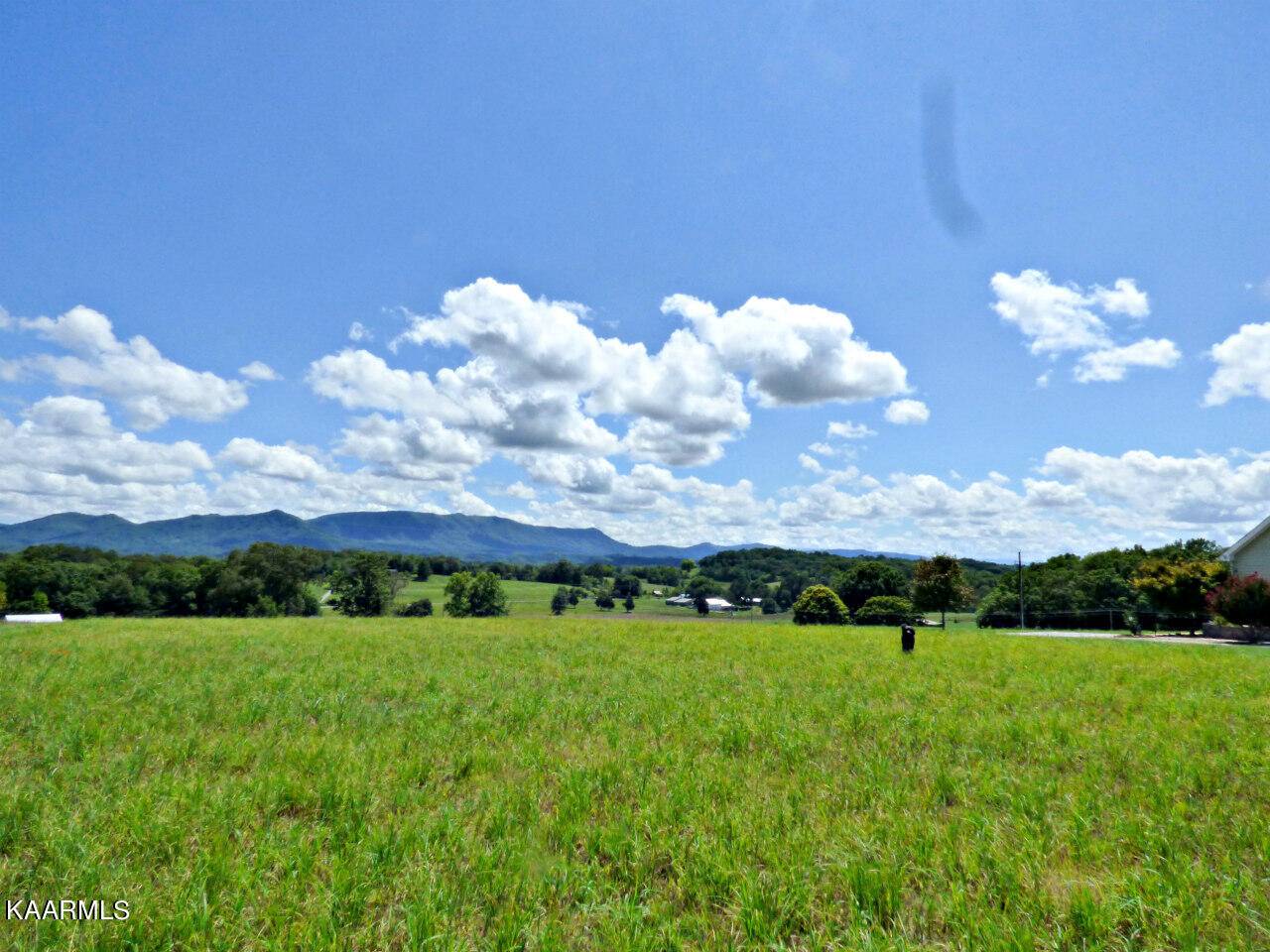 Dandridge, TN 37725,Lot 9 Swannsylvania Rd