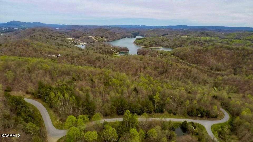 New Tazewell, TN 37825,Lot 185 Settlers Point Rd