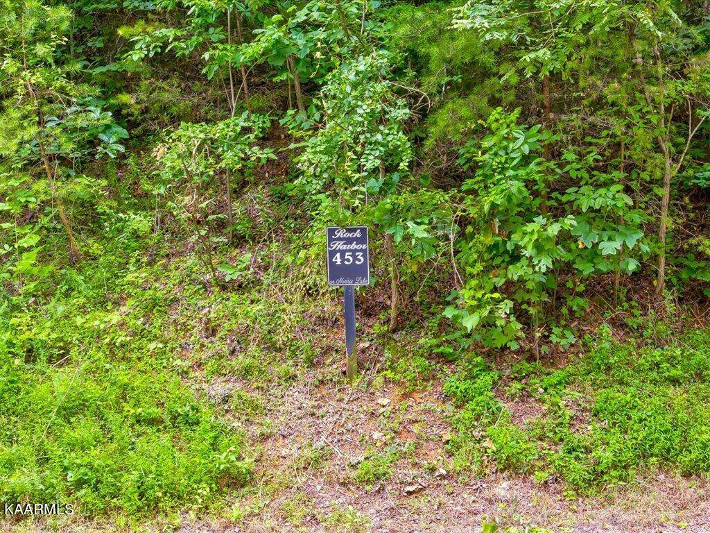 New Tazewell, TN 37825,Lot 453 Silver Tr