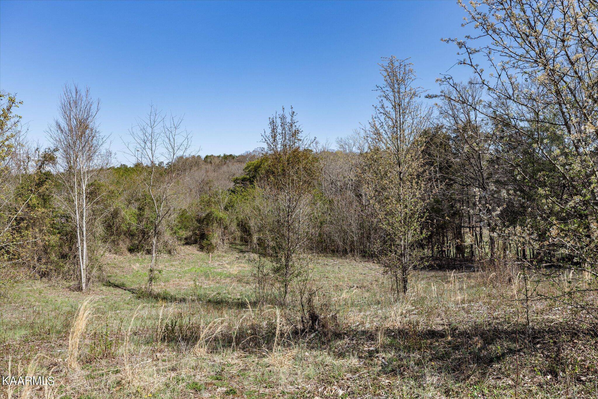 Kodak, TN 37764,Lot 3R Piney Rd