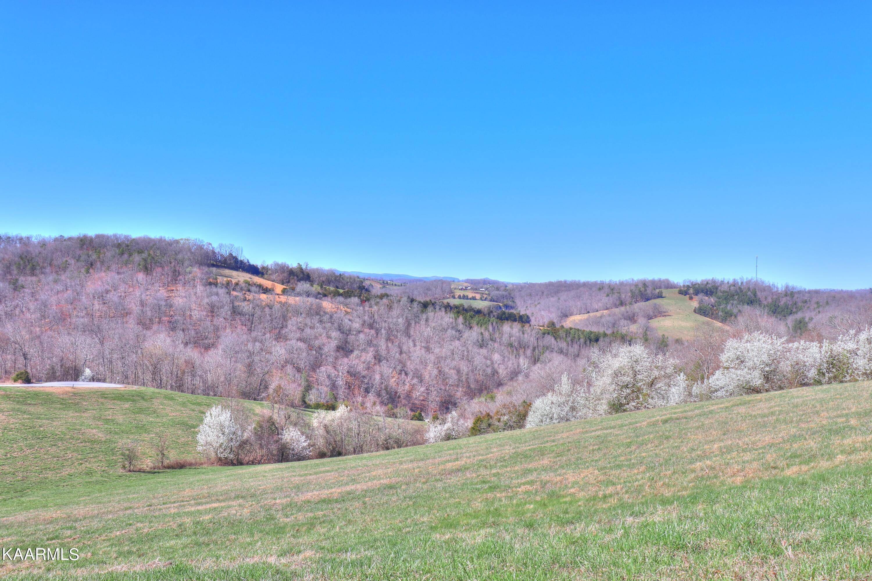 New Tazewell, TN 37825,Lot 230 Jade LN