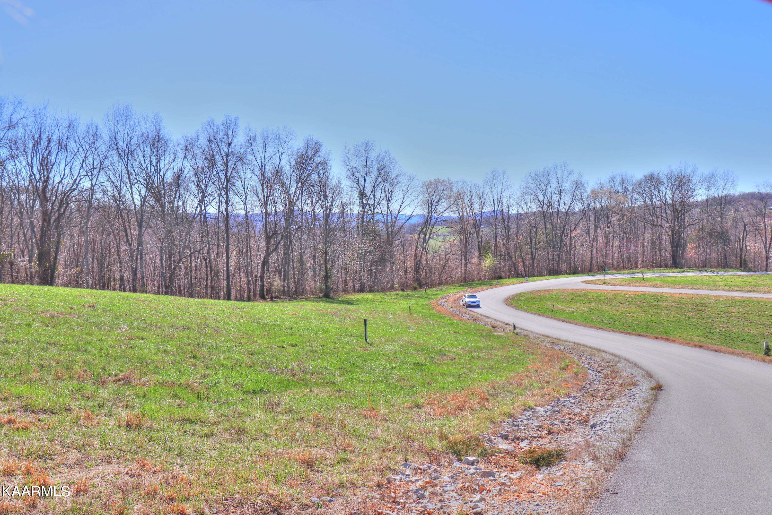 New Tazewell, TN 37825,Lot 230 Jade LN