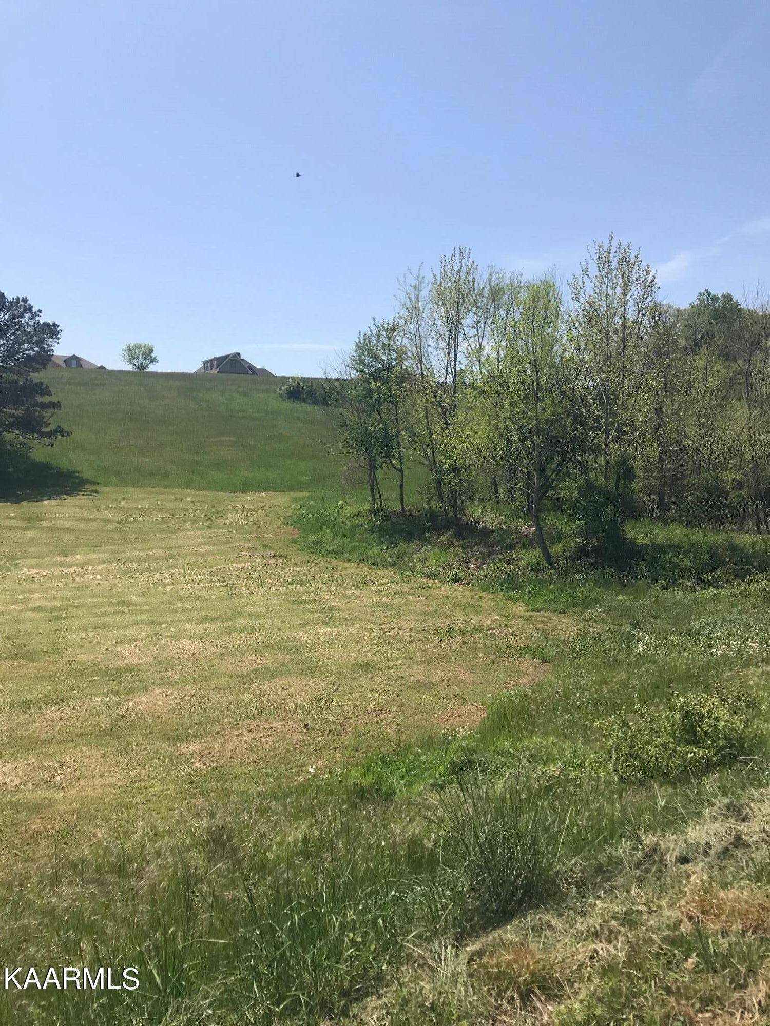 Dandridge, TN 37725,Lot 14&15 Ailey Rd