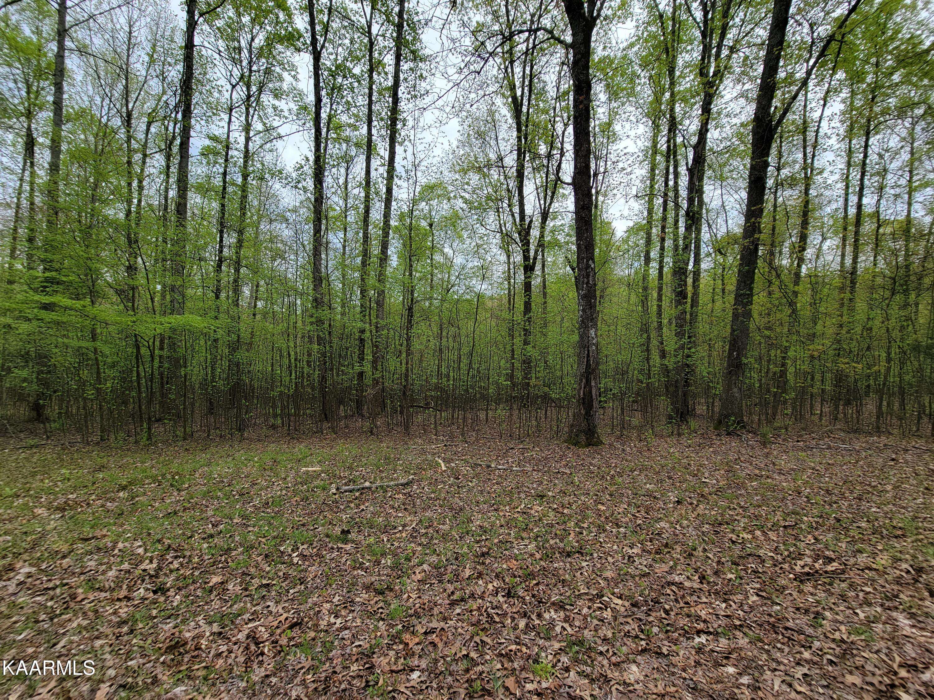 Rockwood, TN 37854,6 acres Kirkham DR