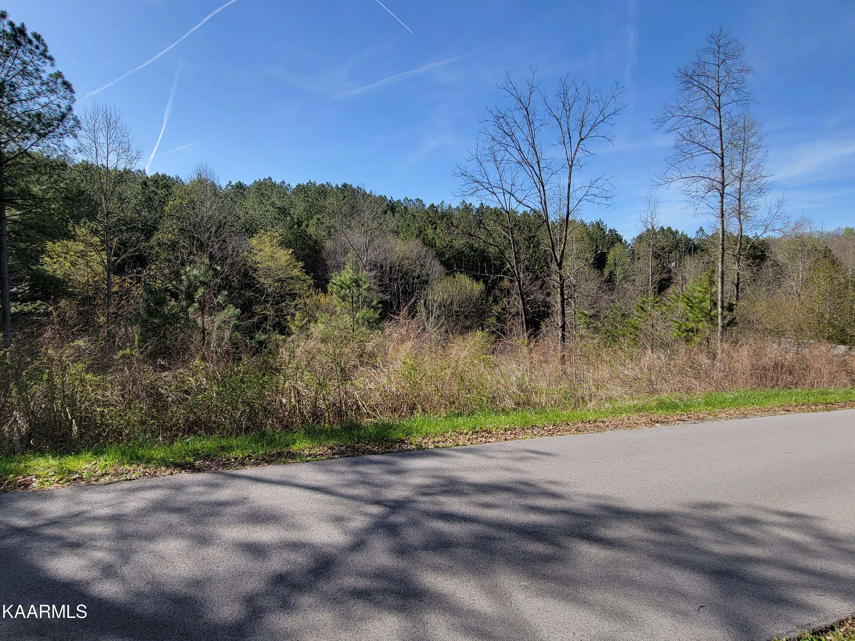 Sweetwater, TN 37874,5.06 acres Clay Hollow Rd