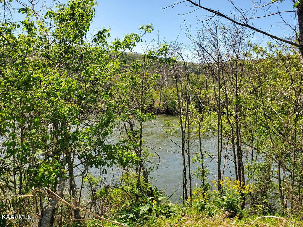 Del Rio, TN 37727,Lot 21 River Rapids WAY