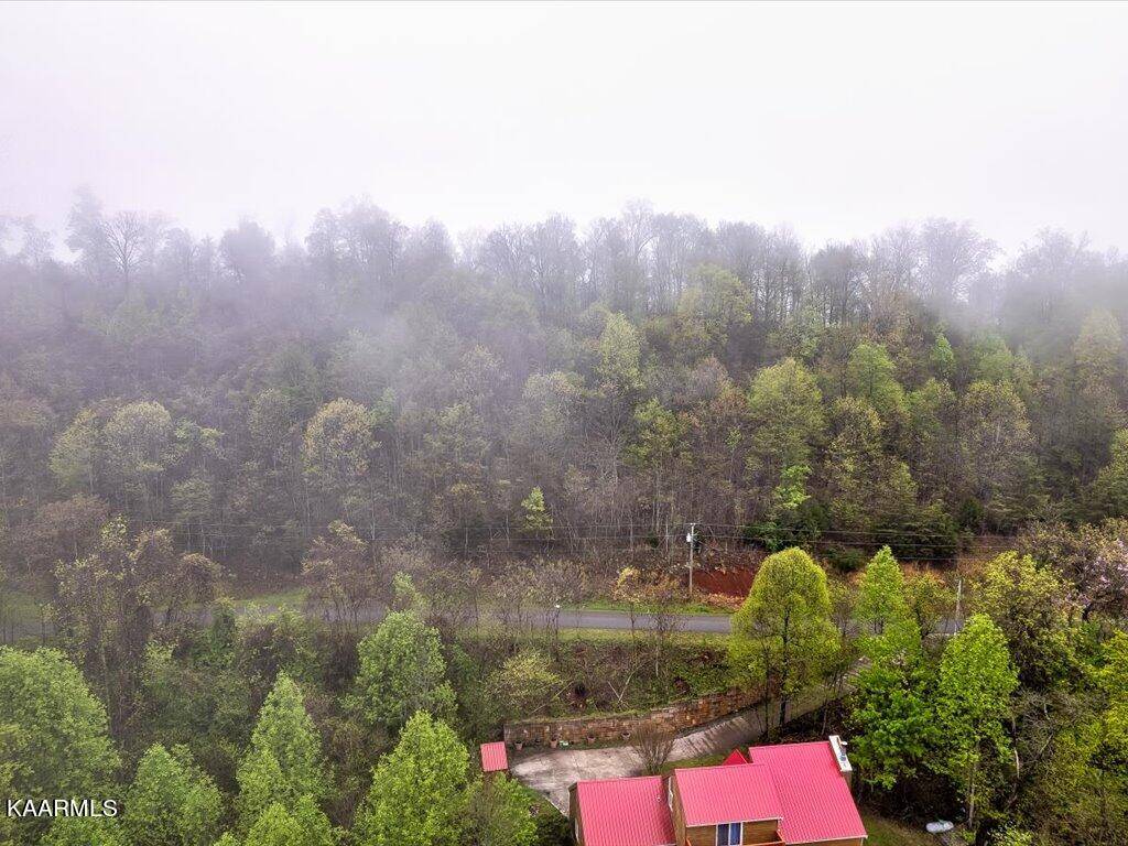 New Tazewell, TN 37825,Lot 212 Clinch View Rd