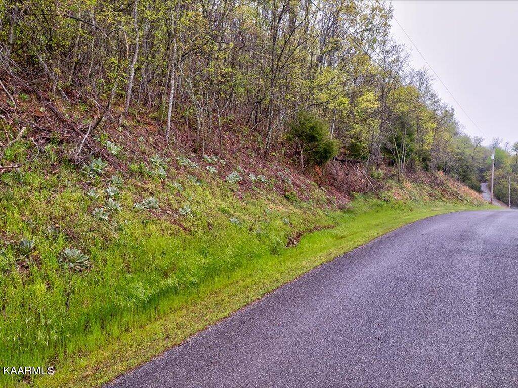 New Tazewell, TN 37825,Lot 212 Clinch View Rd