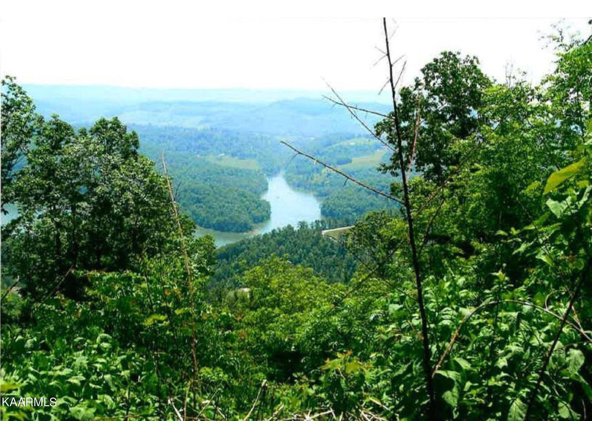 New Tazewell, TN 37825,Lot 667 Cliffside LN