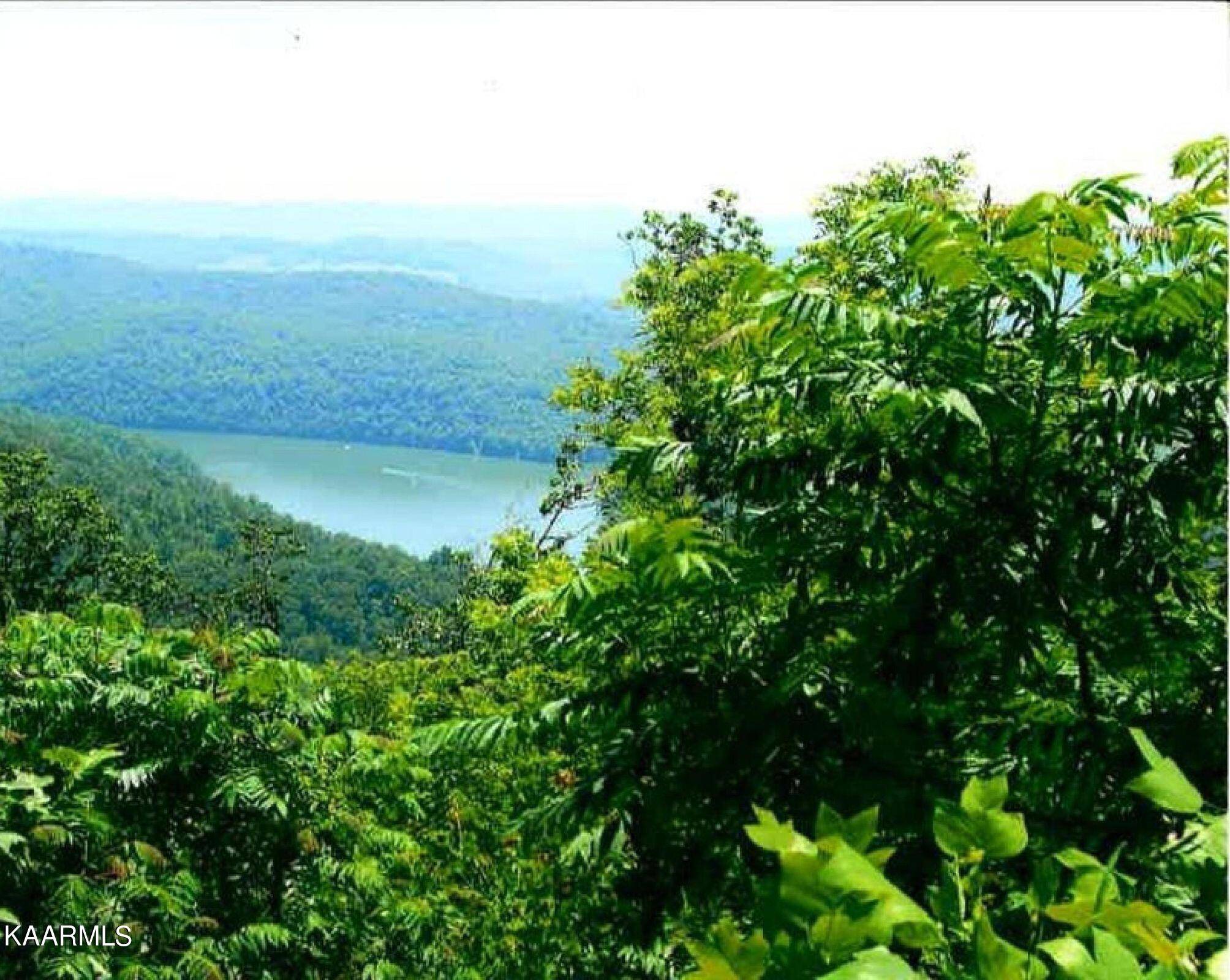 New Tazewell, TN 37825,Lot 667 Cliffside LN