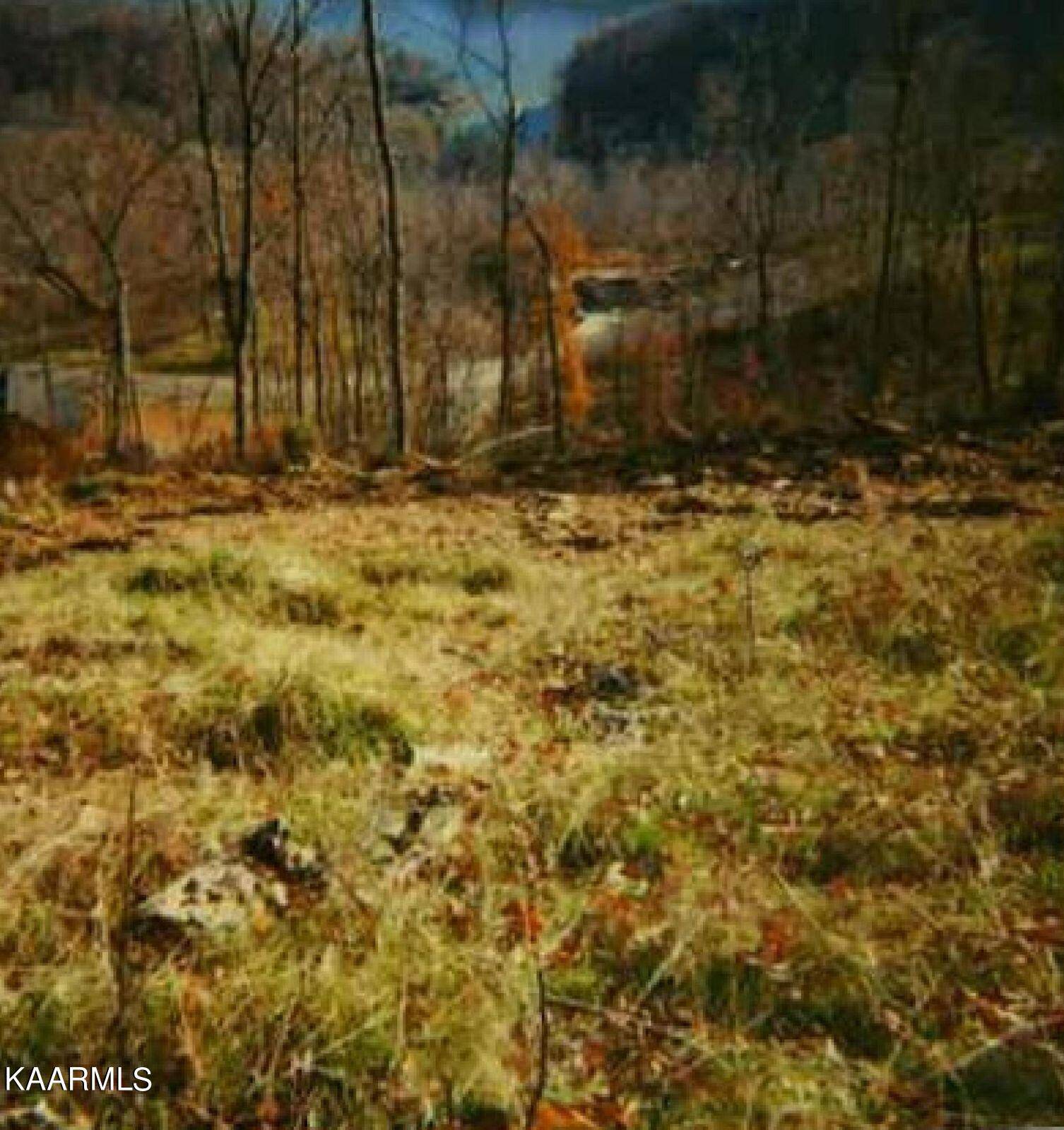 New Tazewell, TN 37825,Lot 667 Cliffside LN